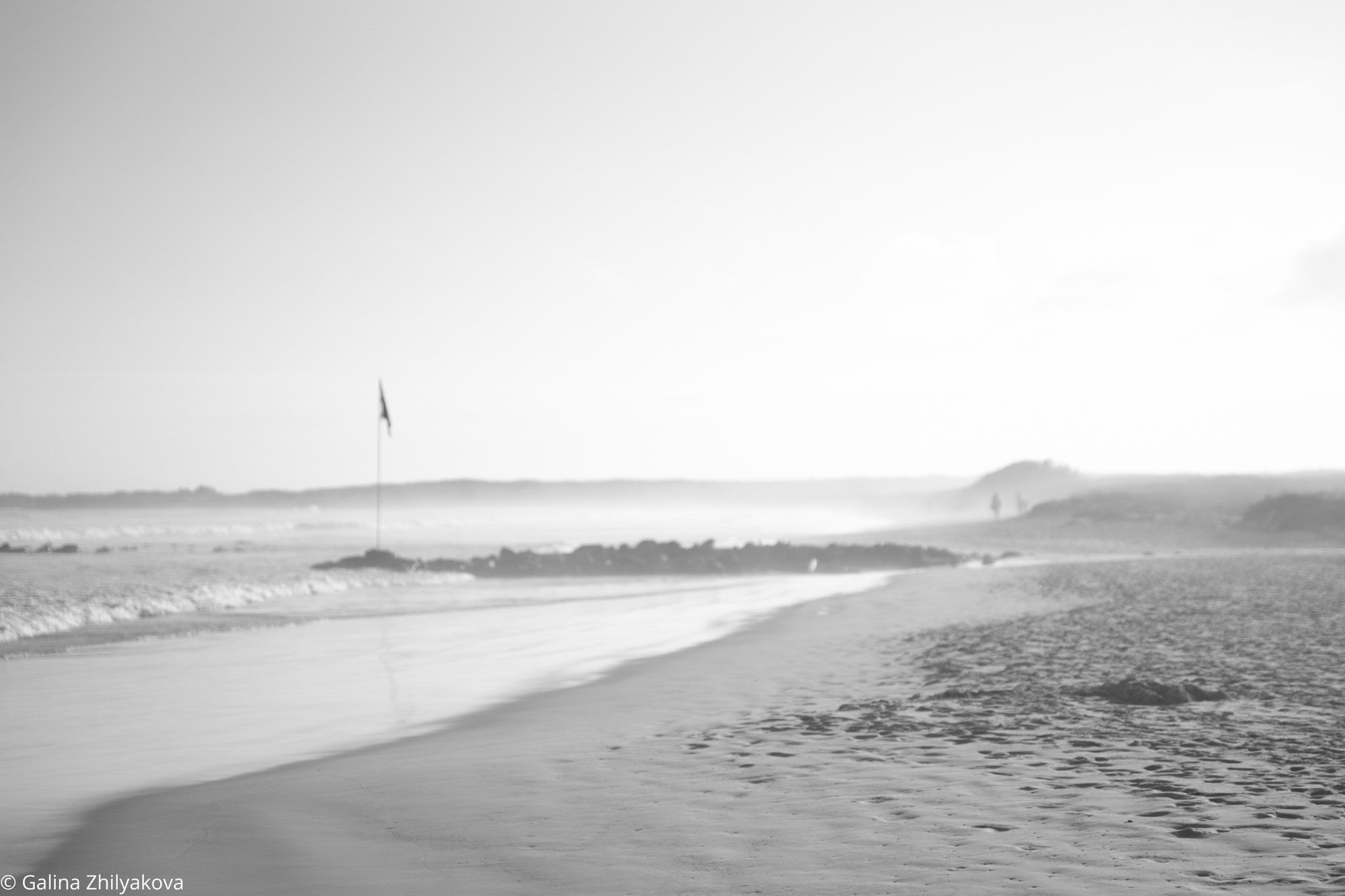 Sony Alpha a99 sample photo. Red flag photography