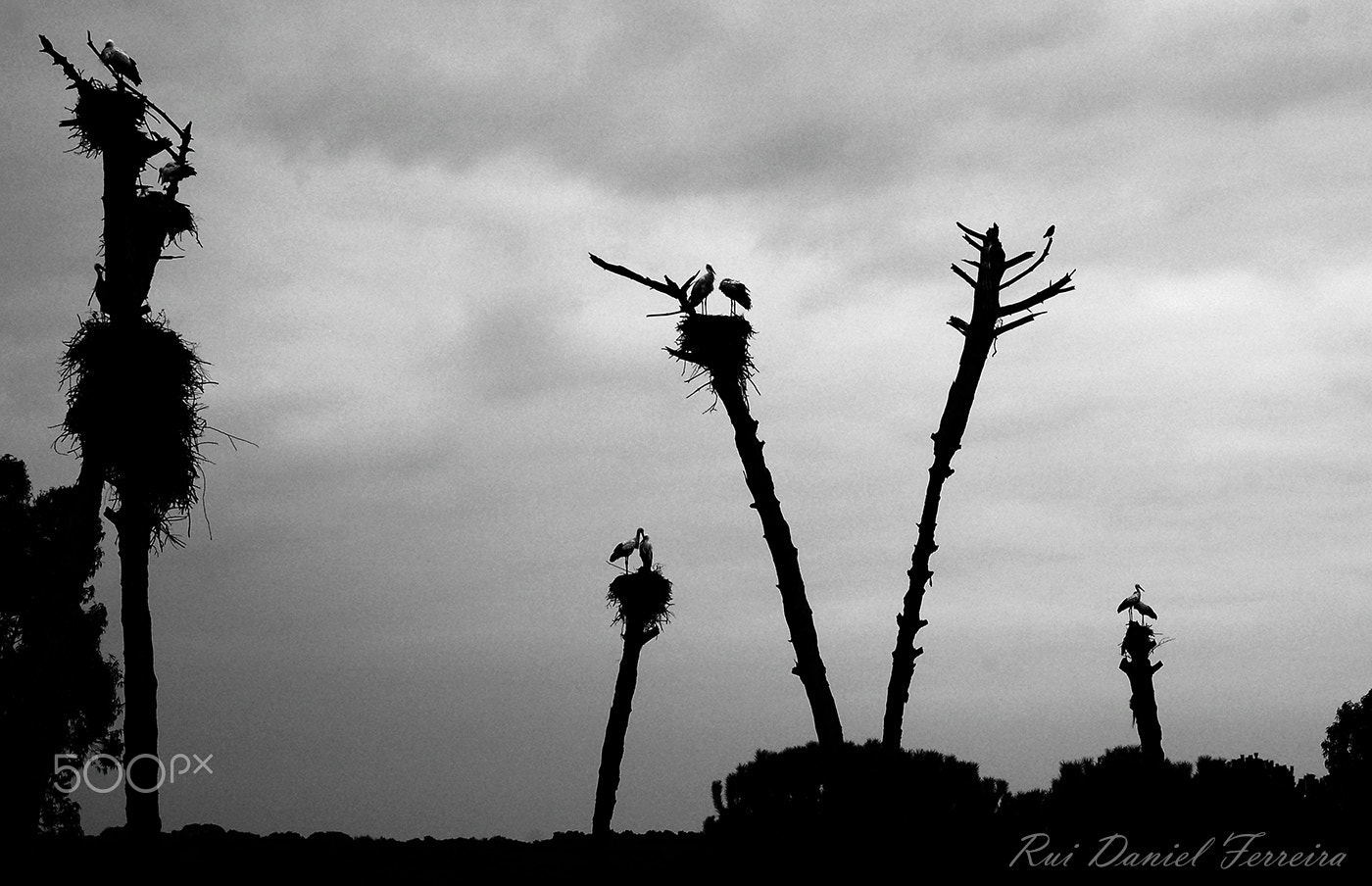 Nikon D50 sample photo. Condomínio photography