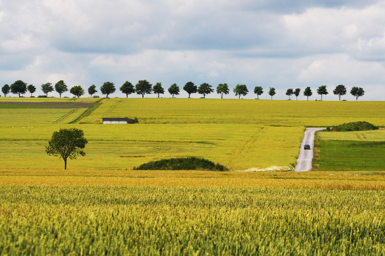 Pentax K-30 + smc PENTAX-FA 28-105mm F3.2-4.5 AL[IF] sample photo. The car. in fields of gold photography