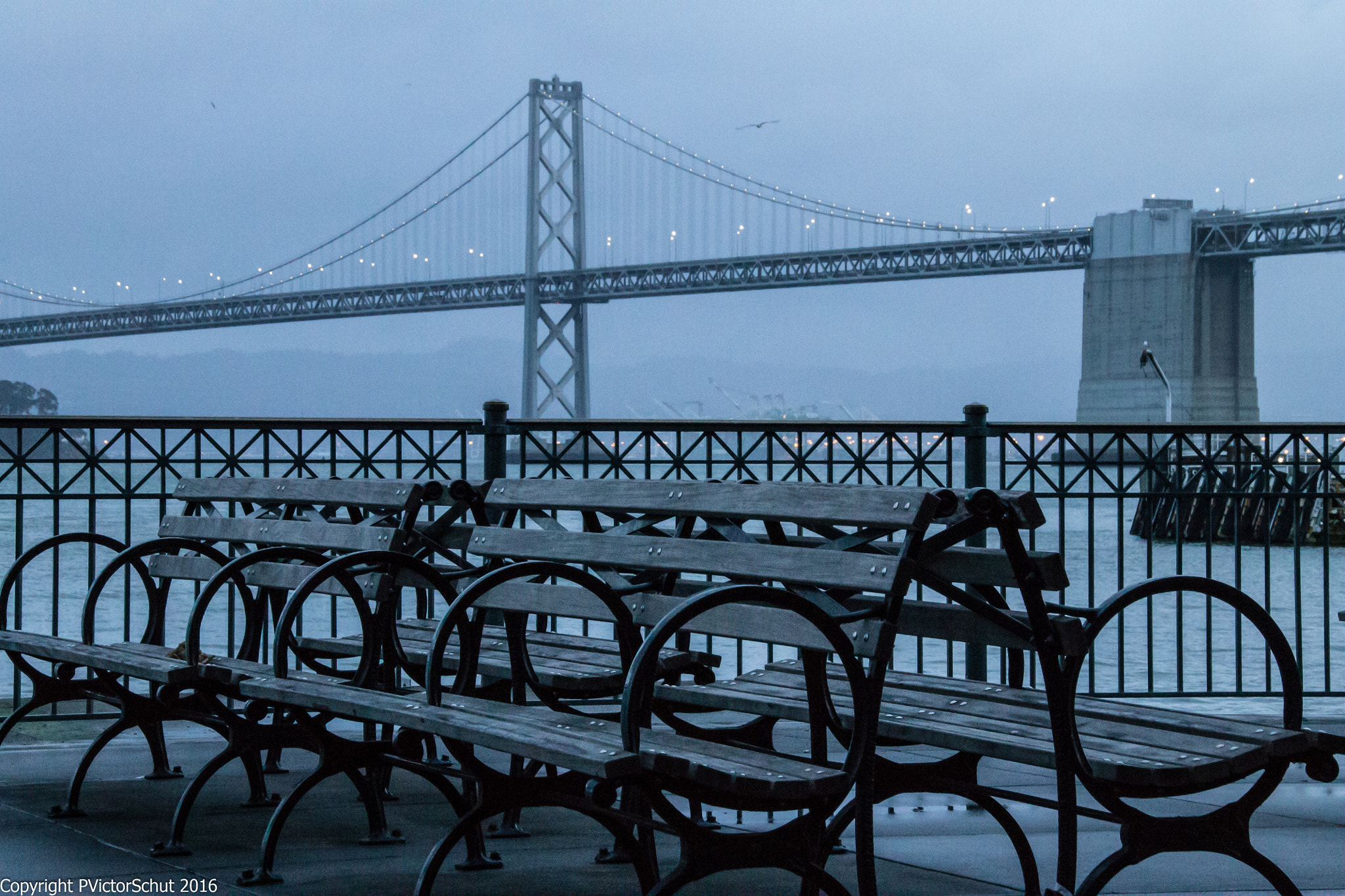 Sigma 18-250mm F3.5-6.3 DC OS HSM sample photo. Bay bridge morning photography