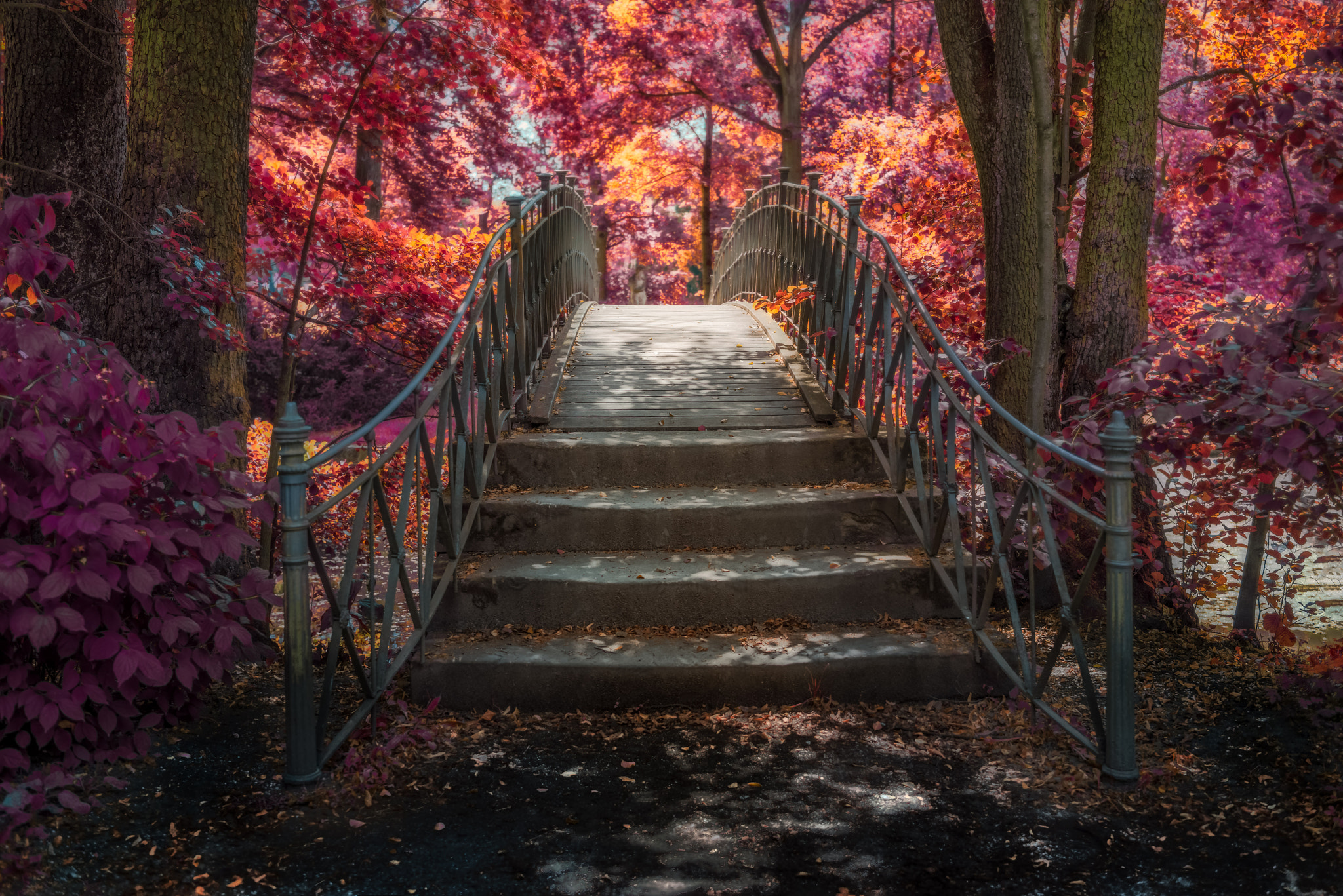 Nikon D800 + Samyang 35mm F1.4 AS UMC sample photo. Hofgarten photography