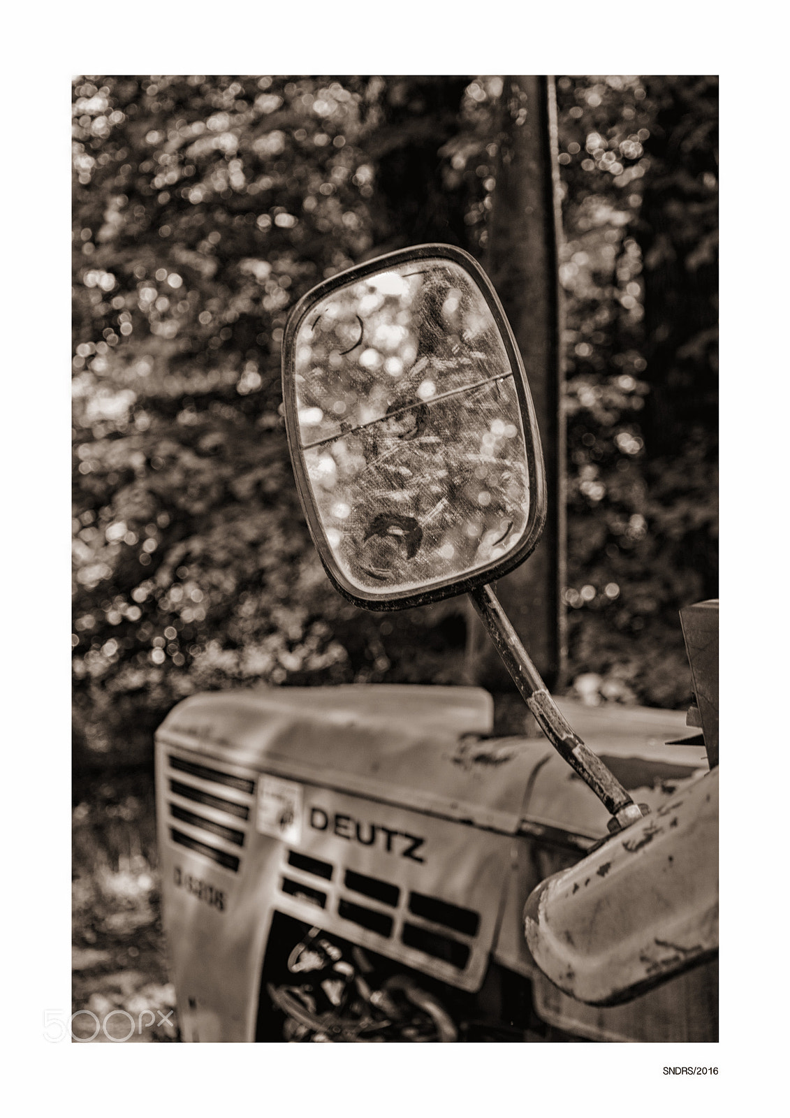 Nikon D40X sample photo. Forestry photography