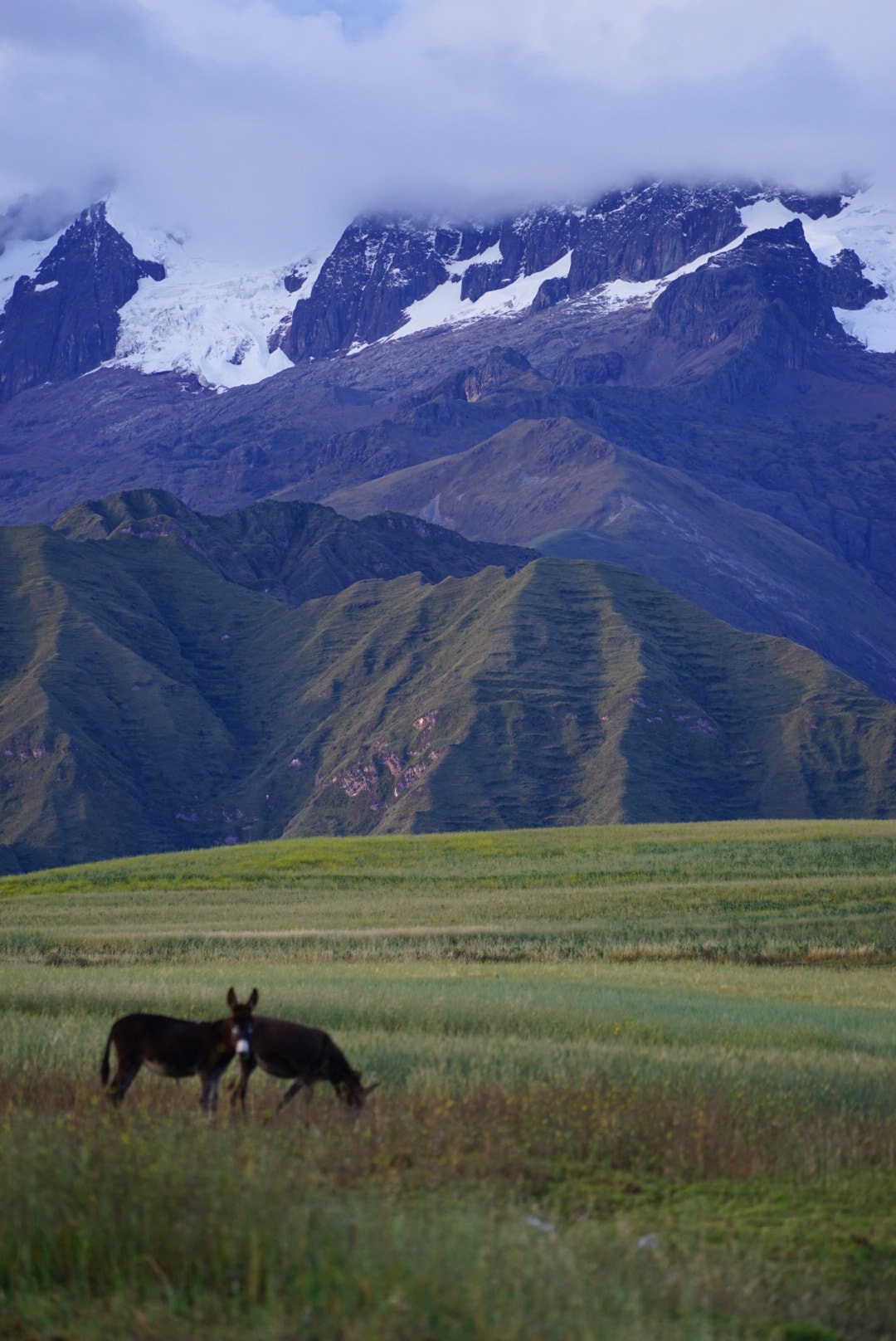Sony a7 II + Sony FE 70-200mm F4 G OSS sample photo. Mountains in peru photography