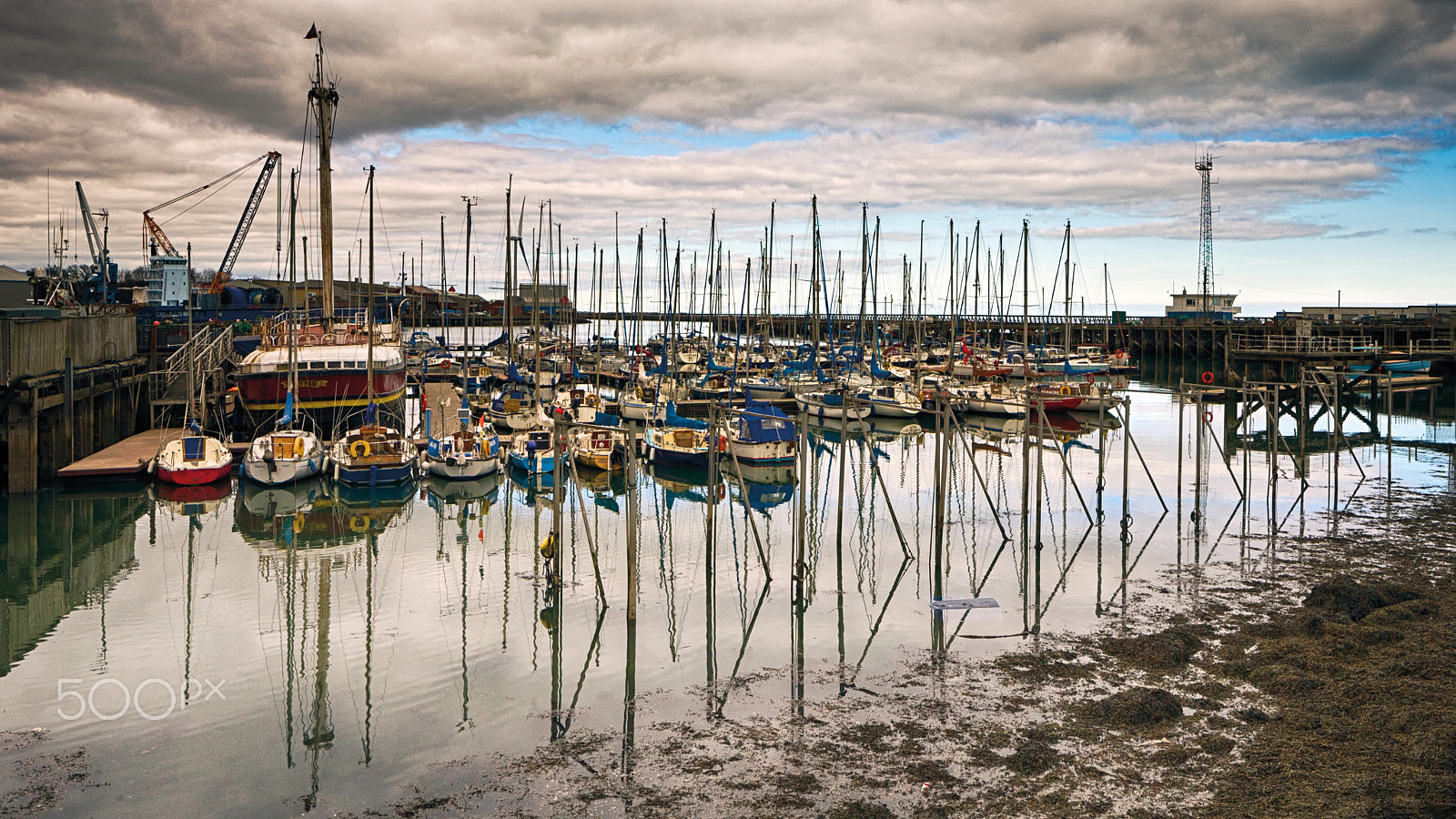 Canon TS-E 24.0mm f/3.5 L II sample photo. Boatyard reflections photography