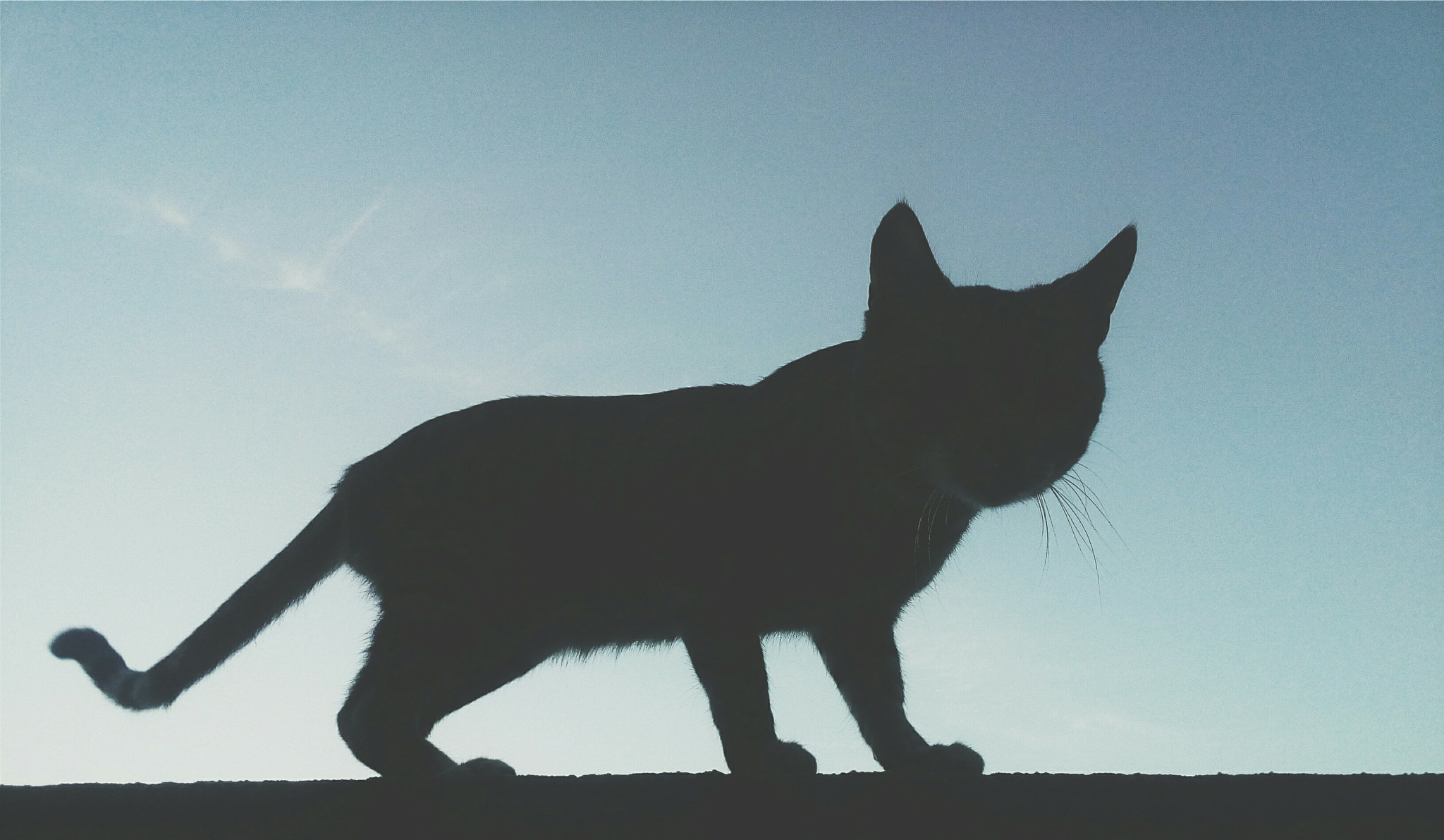 LG L Bello sample photo. Silhueta 3/3 photography