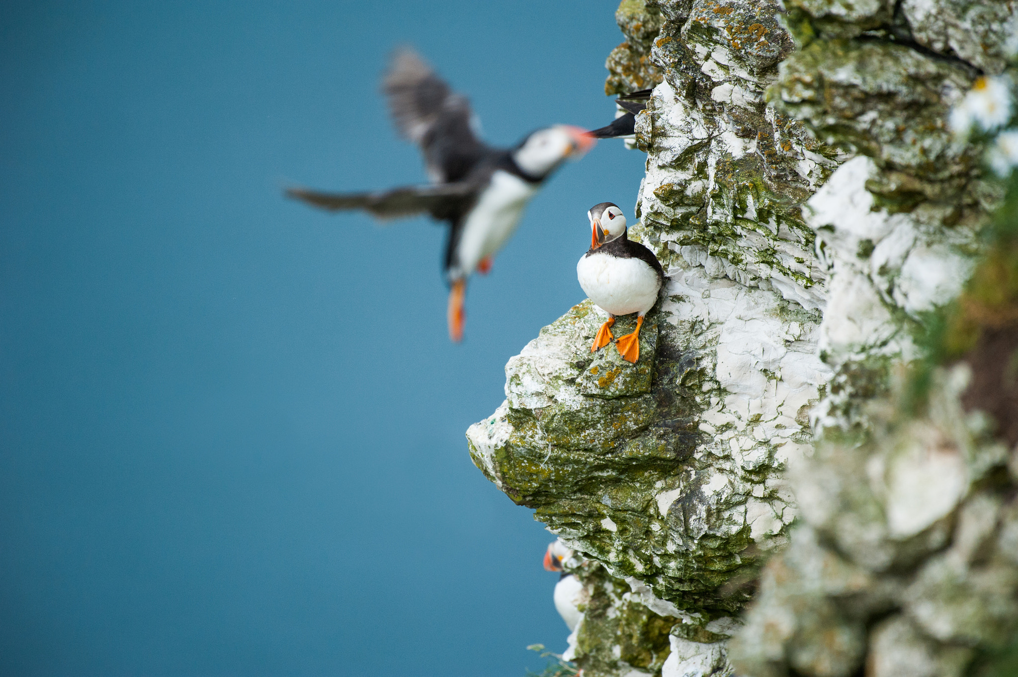 Nikon AF-S Nikkor 200-500mm F5.6E ED VR sample photo. In flight photography