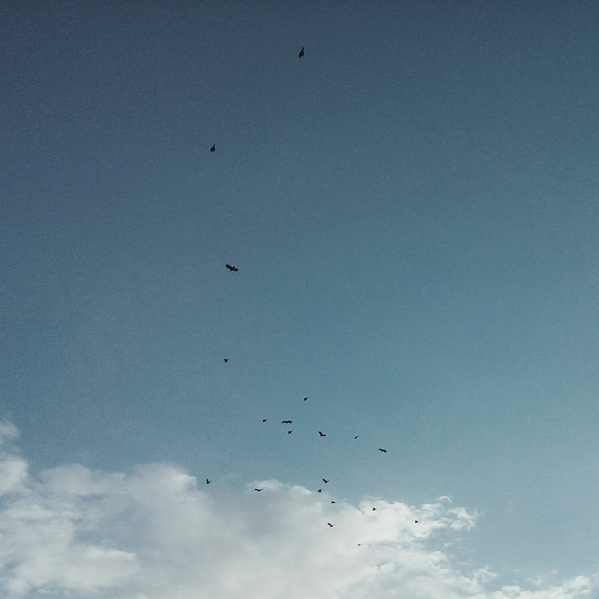 LG L Bello sample photo. CÉu 3/3 photography
