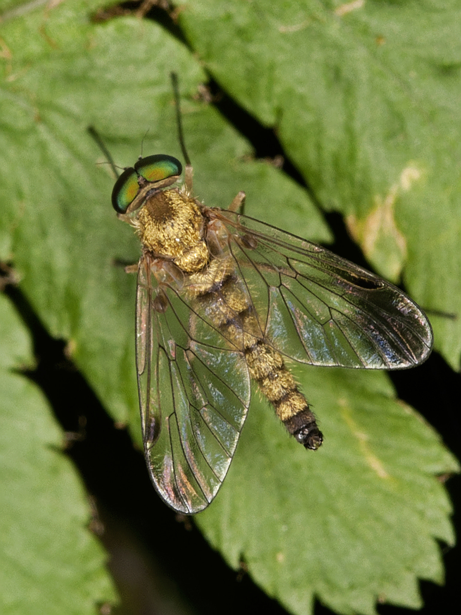 Canon EOS-1D Mark III sample photo. 27713965774.jpg photography
