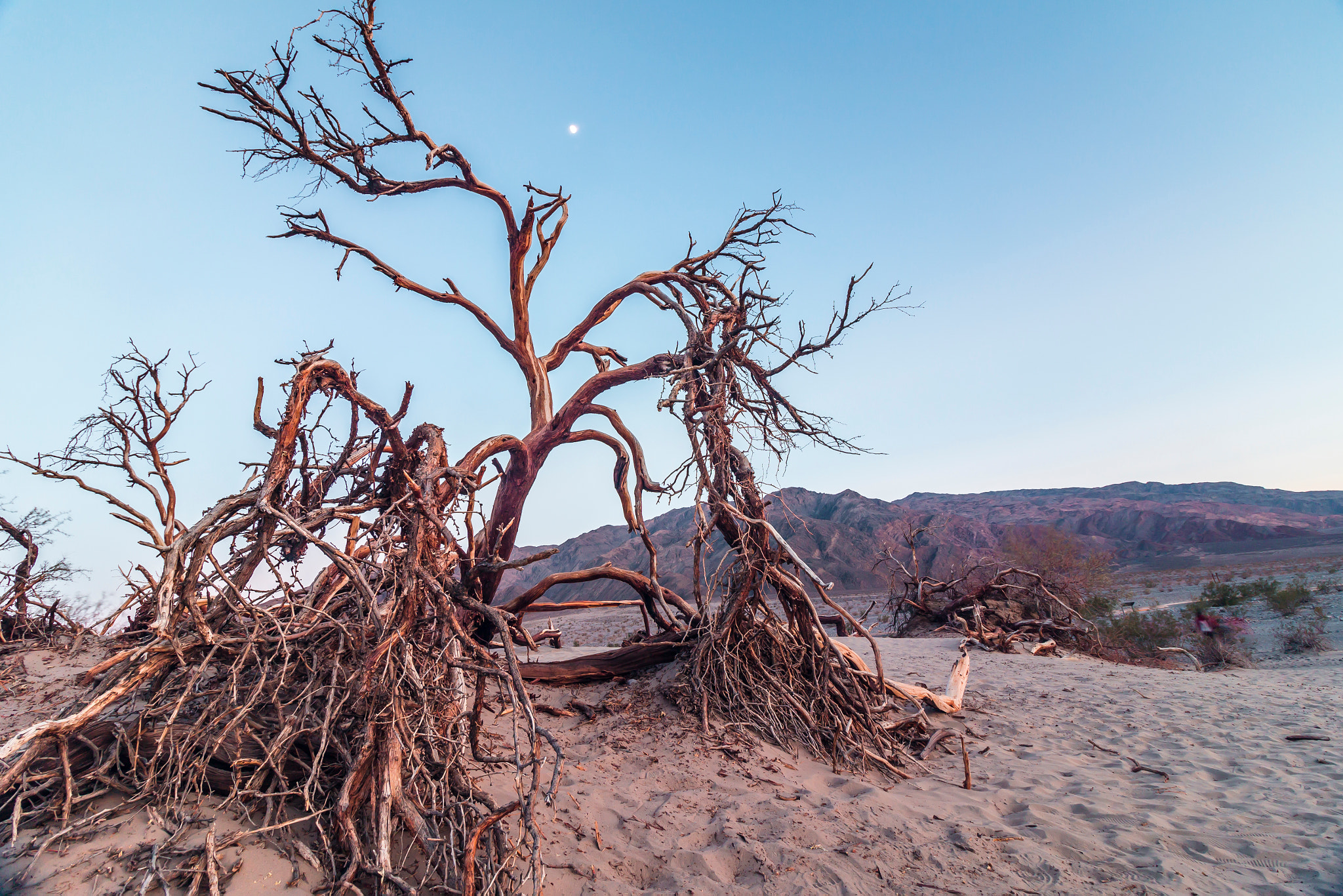 Canon EOS M sample photo. Death and silence photography