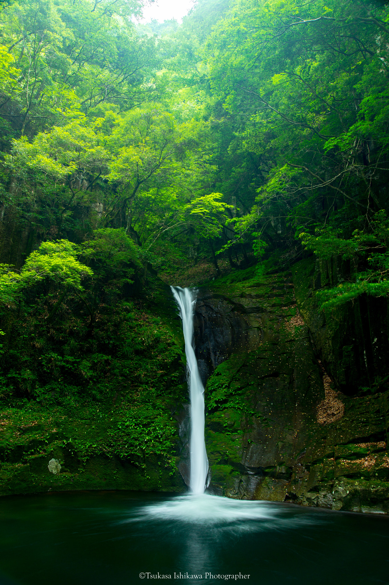 Sony a99 II + 24-105mm F4 sample photo. Fresh green waterfall photography