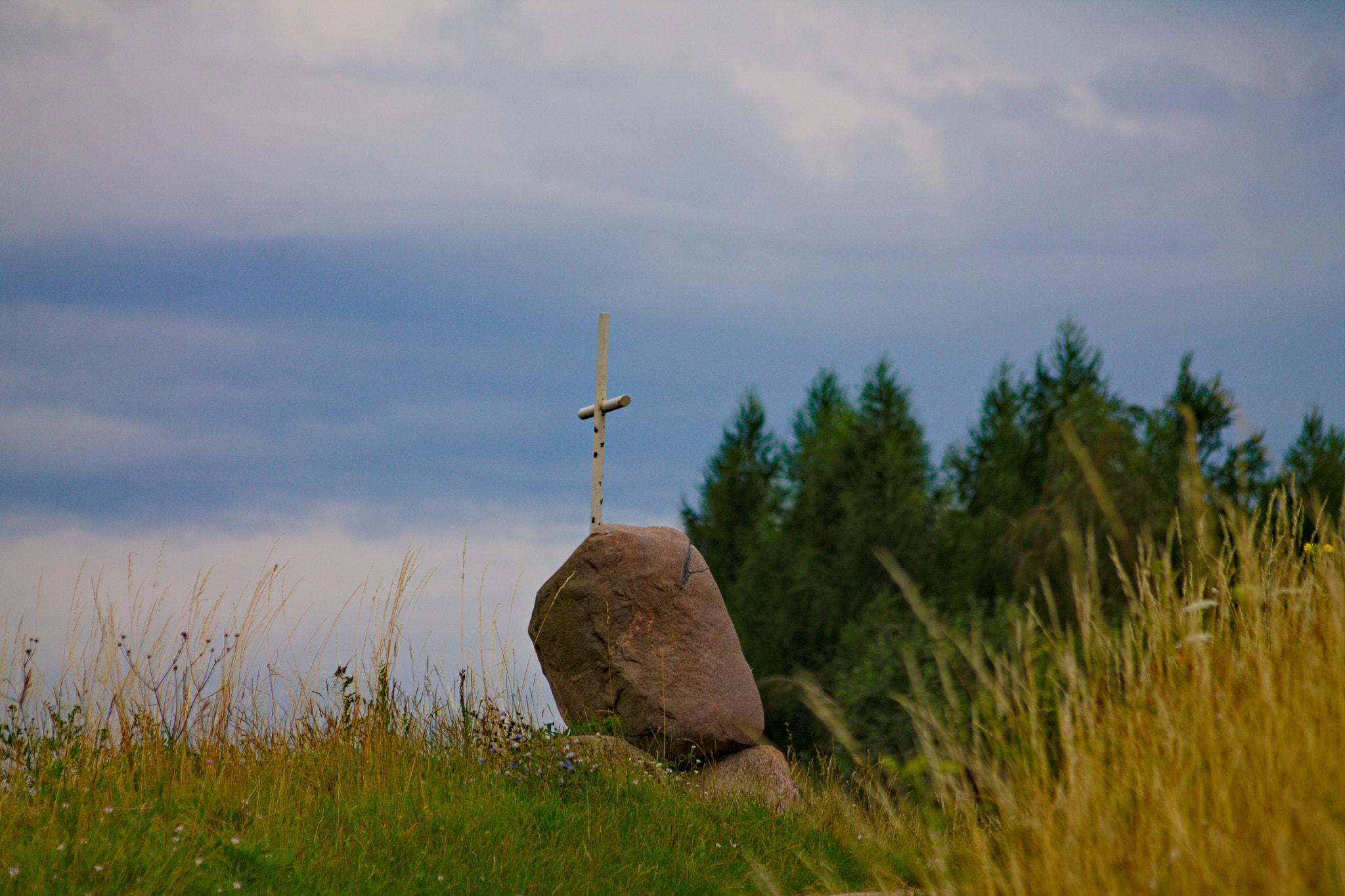 Sigma 70-300mm F4-5.6 APO DG Macro sample photo. By the roadside... photography