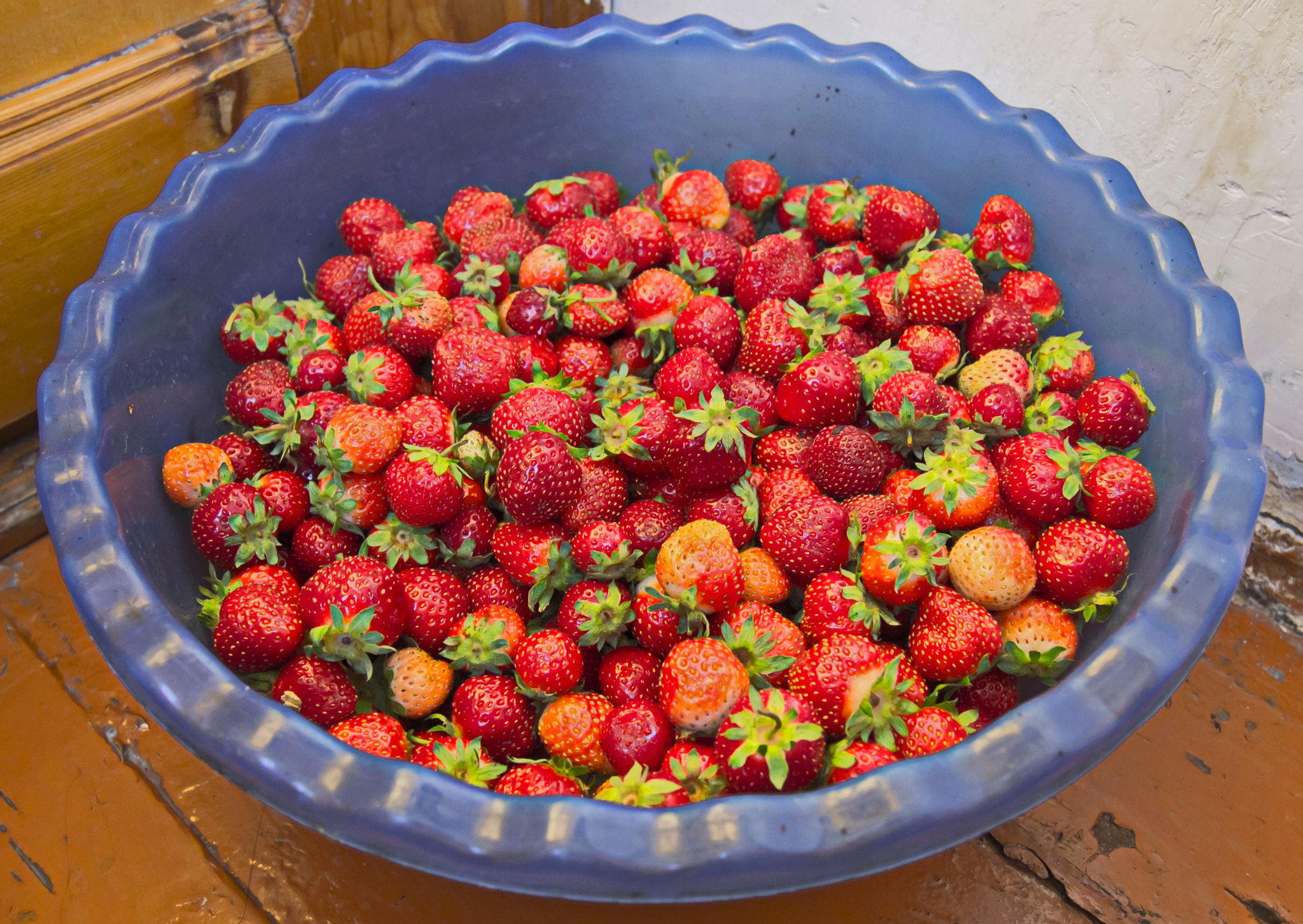 Olympus PEN E-P3 sample photo. Strawberries in pot photography