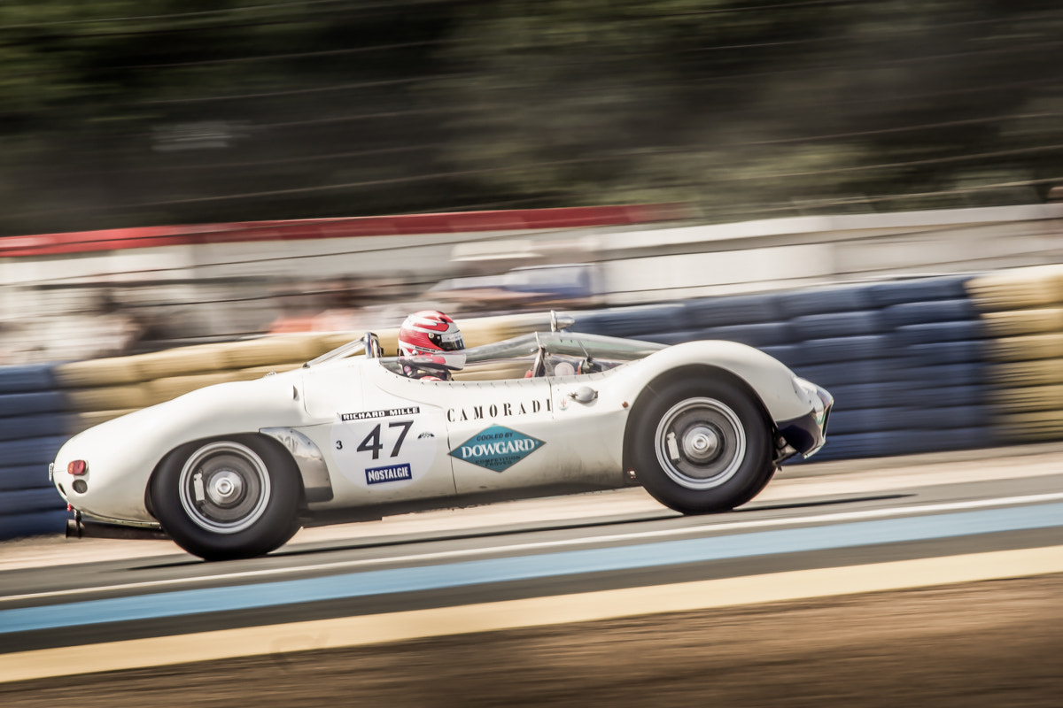 Canon EOS 60D + Canon EF 100-400mm F4.5-5.6L IS USM sample photo. Maserati t63 birdcage (1961) photography