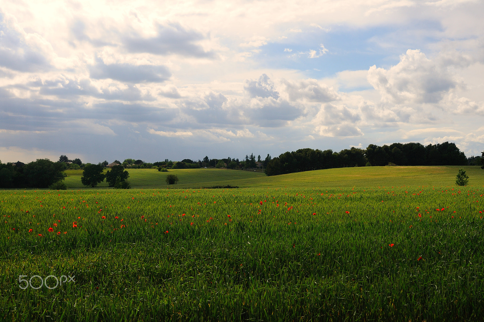 Nikon D300 + AF Zoom-Nikkor 24-120mm f/3.5-5.6D IF sample photo. Campagne photography