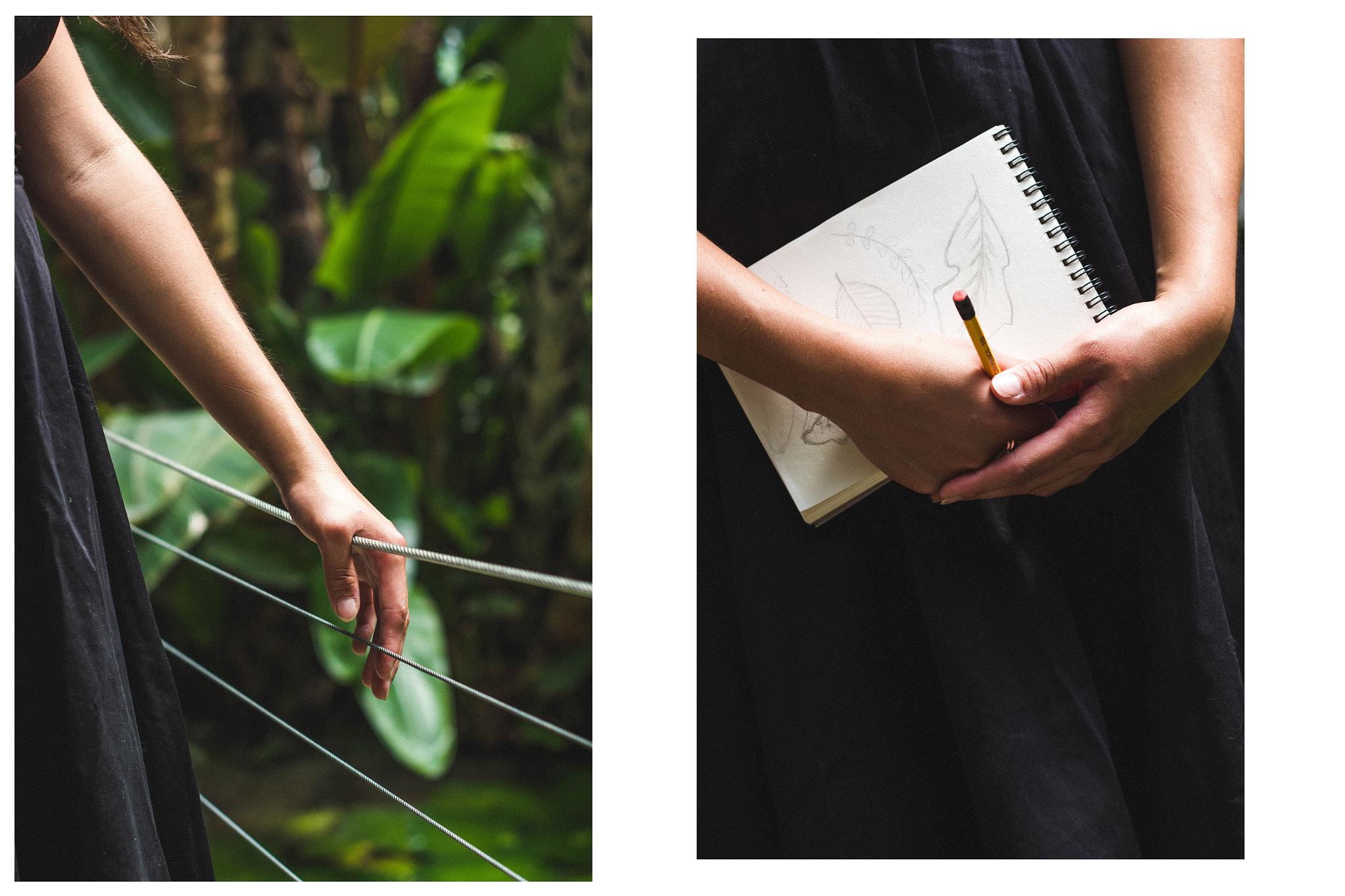 Canon EOS 550D (EOS Rebel T2i / EOS Kiss X4) + Canon EF 50mm f/1.8 sample photo. Vanina, botanical study. photography