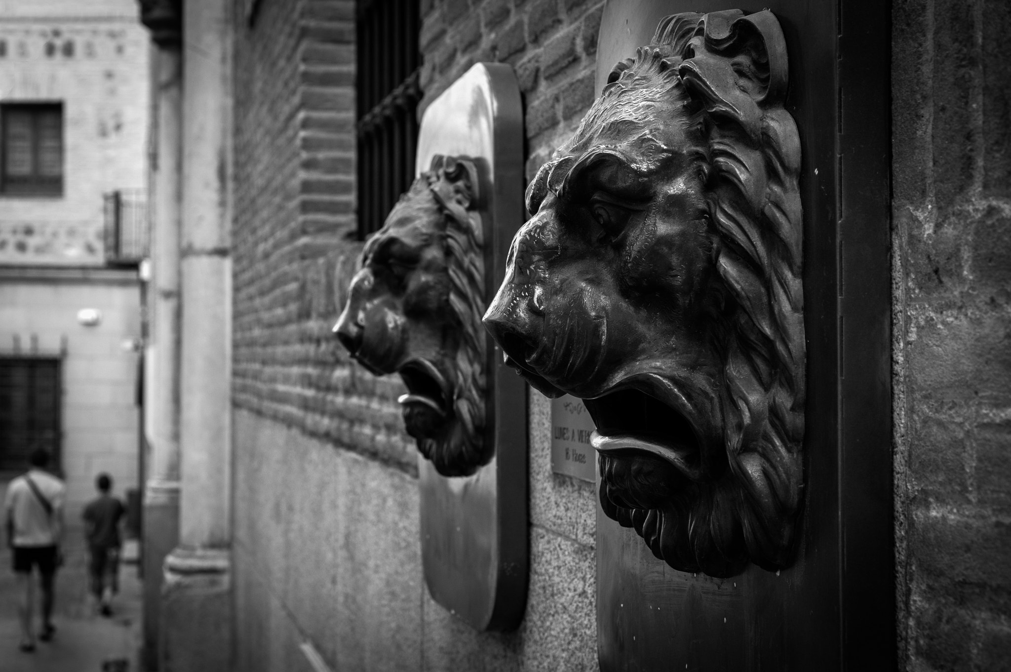 Sony E 35mm F1.8 OSS sample photo. Lions. photography