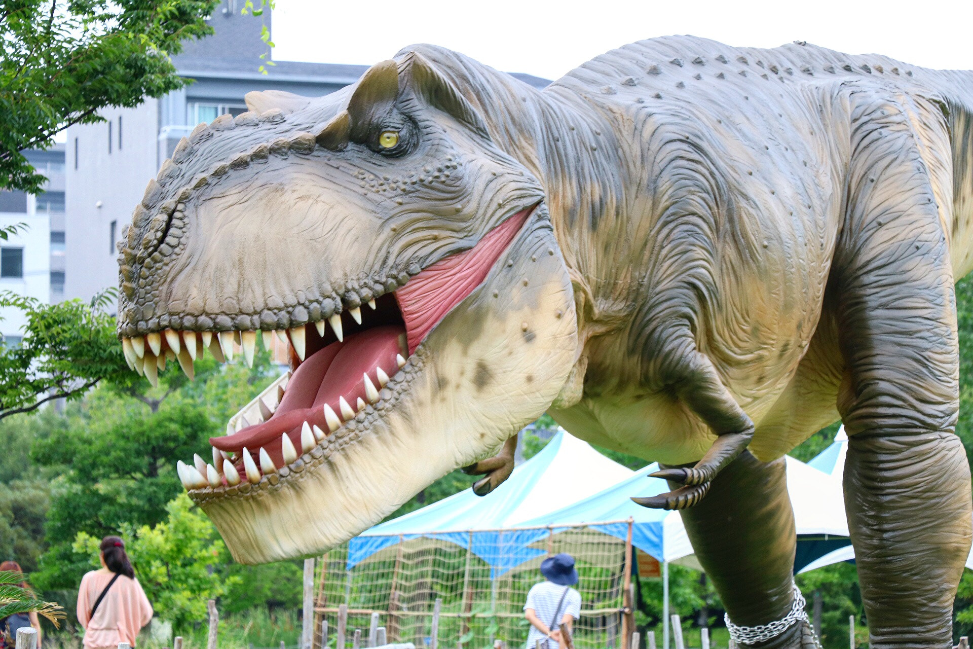 Canon EOS 760D (EOS Rebel T6s / EOS 8000D) sample photo. A tyrannosaurus appears! photography
