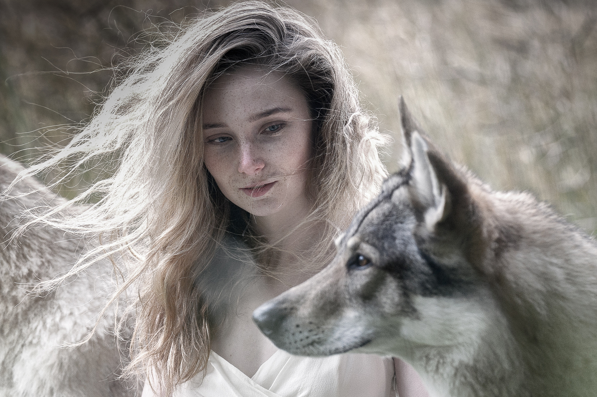 Nikon AF-S Nikkor 200mm F2G ED-IF VR sample photo. Anne & the wulf photography