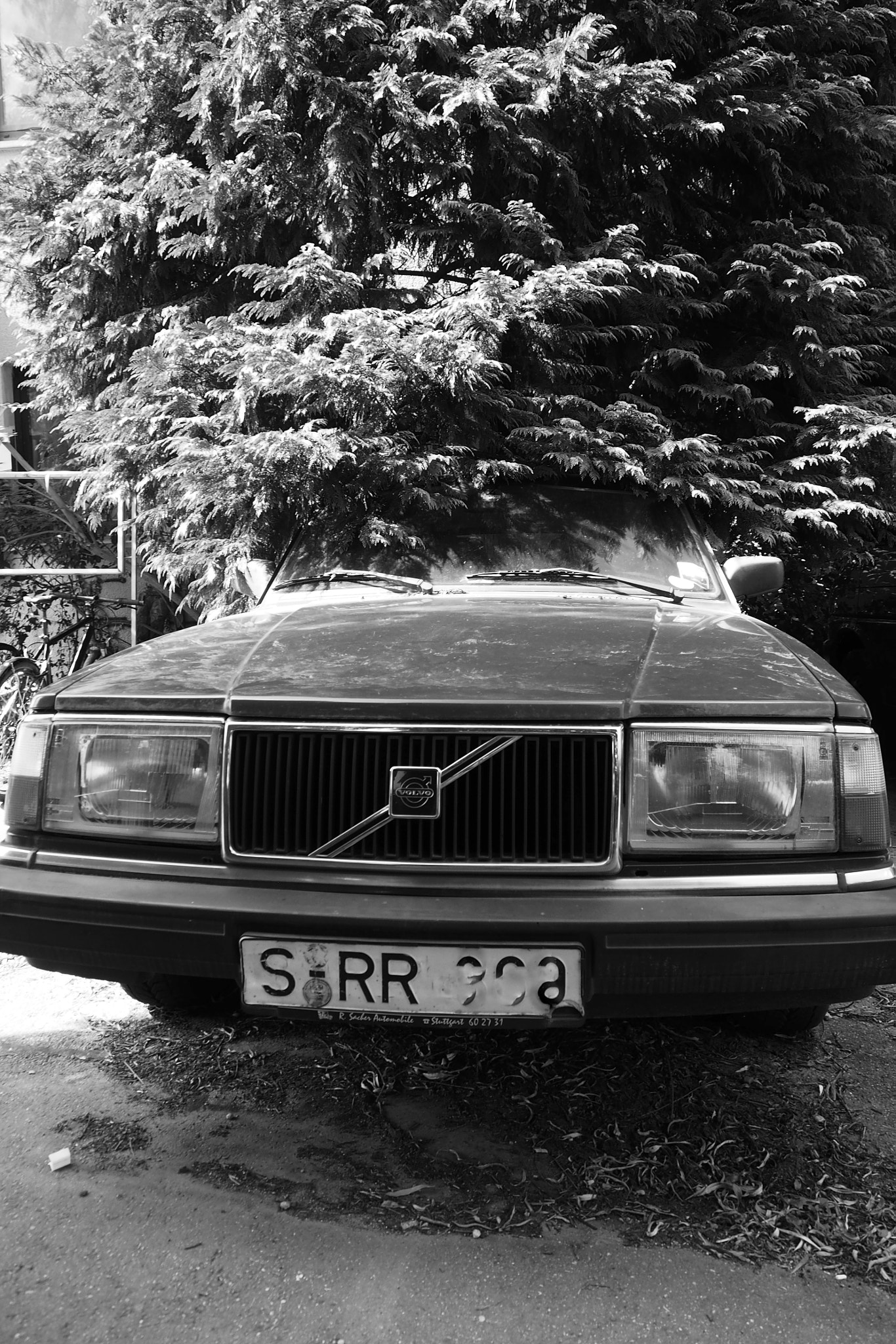 Olympus OM-D E-M1 + OLYMPUS M.12-50mm F3.5-6.3 sample photo. Natural parking lot photography