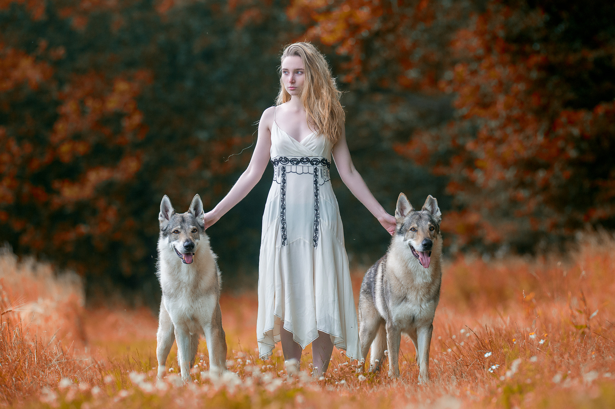 Nikon AF-S Nikkor 200mm F2G ED-IF VR sample photo. Anne and the wolfs photography