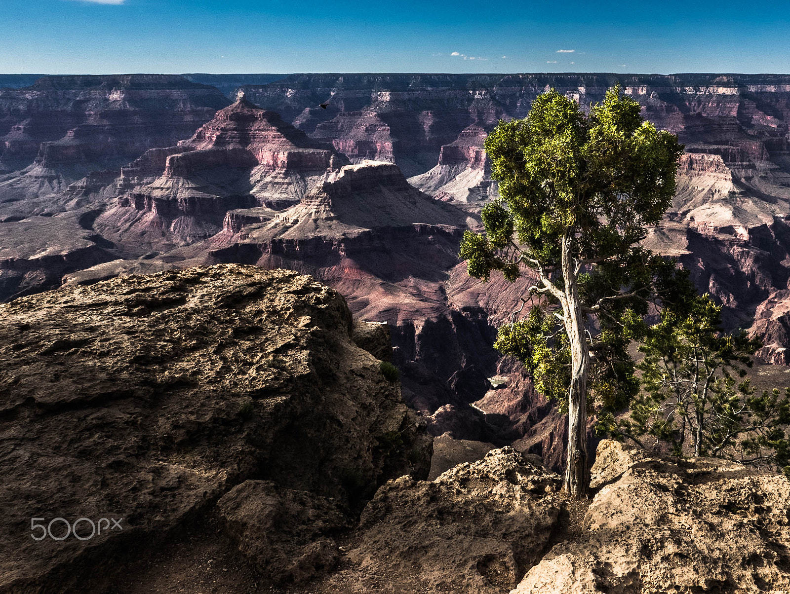 Olympus OM-D E-M1 + OLYMPUS M.9-18mm F4.0-5.6 sample photo. Grand canyon national park photography