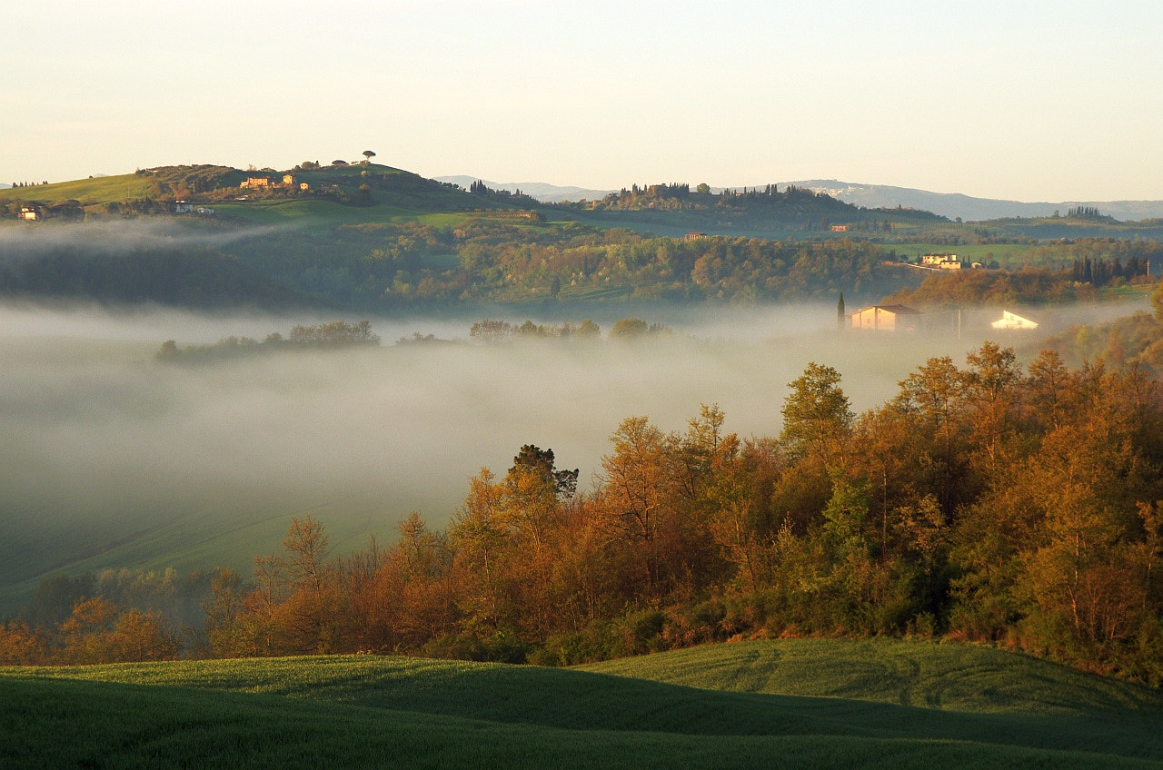 Pentax K-30 sample photo. Foggy morning. in tuscany photography