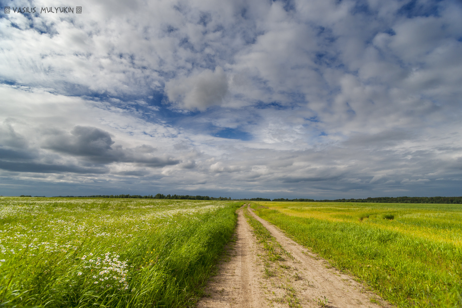 Sony Alpha DSLR-A900 + Minolta AF 17-35mm F2.8-4 (D) sample photo. Копорье. photography