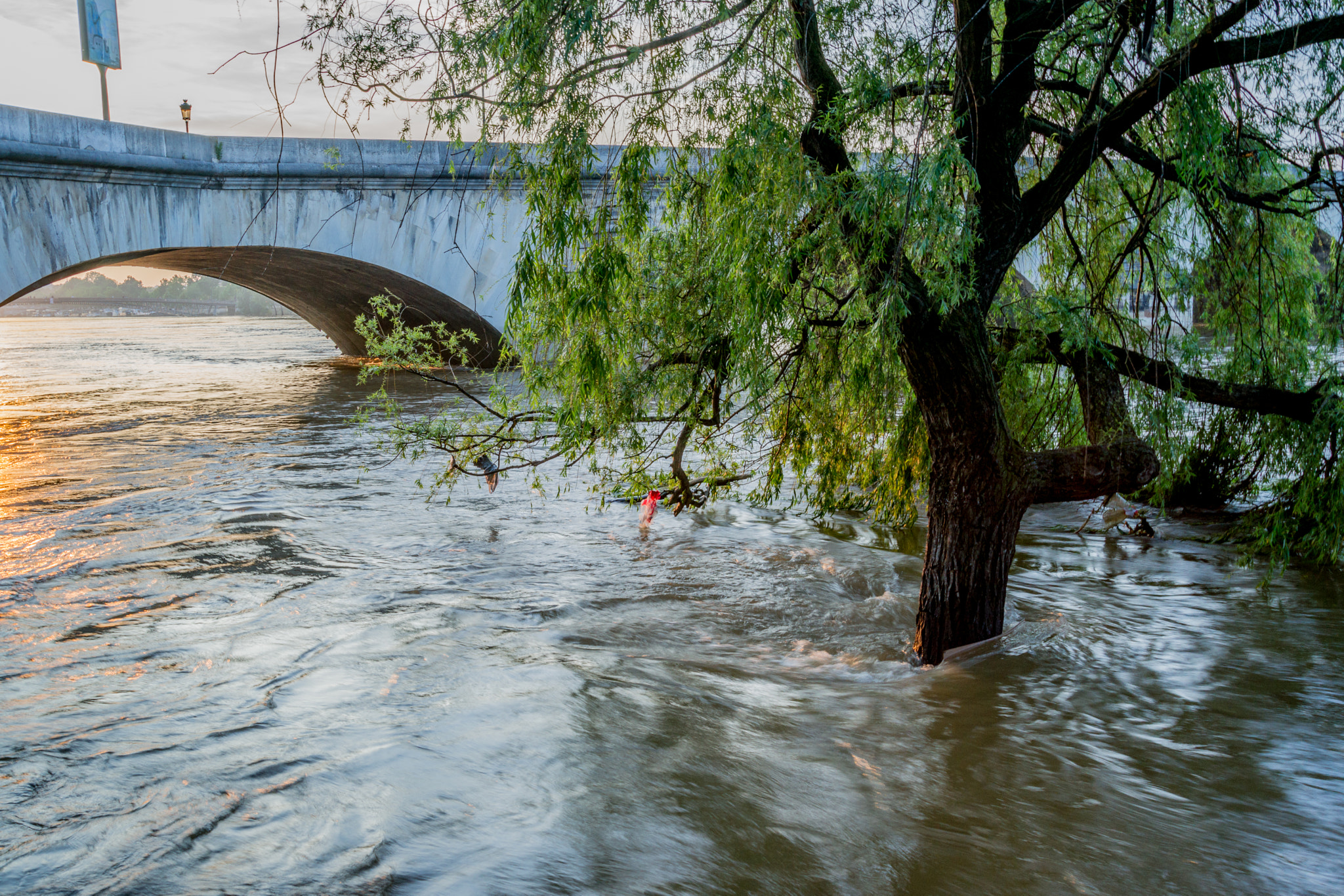 Sony Alpha DSLR-A850 sample photo. Crue de la seine photography