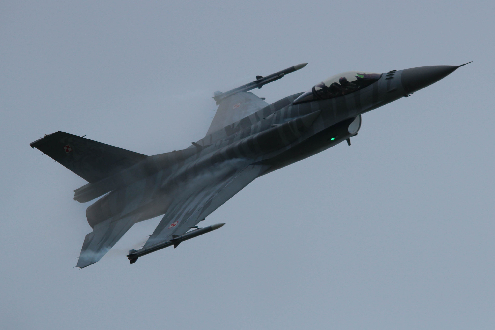 Sigma 150-500mm F5-6.3 DG OS HSM sample photo. F16 tiger demo team photography
