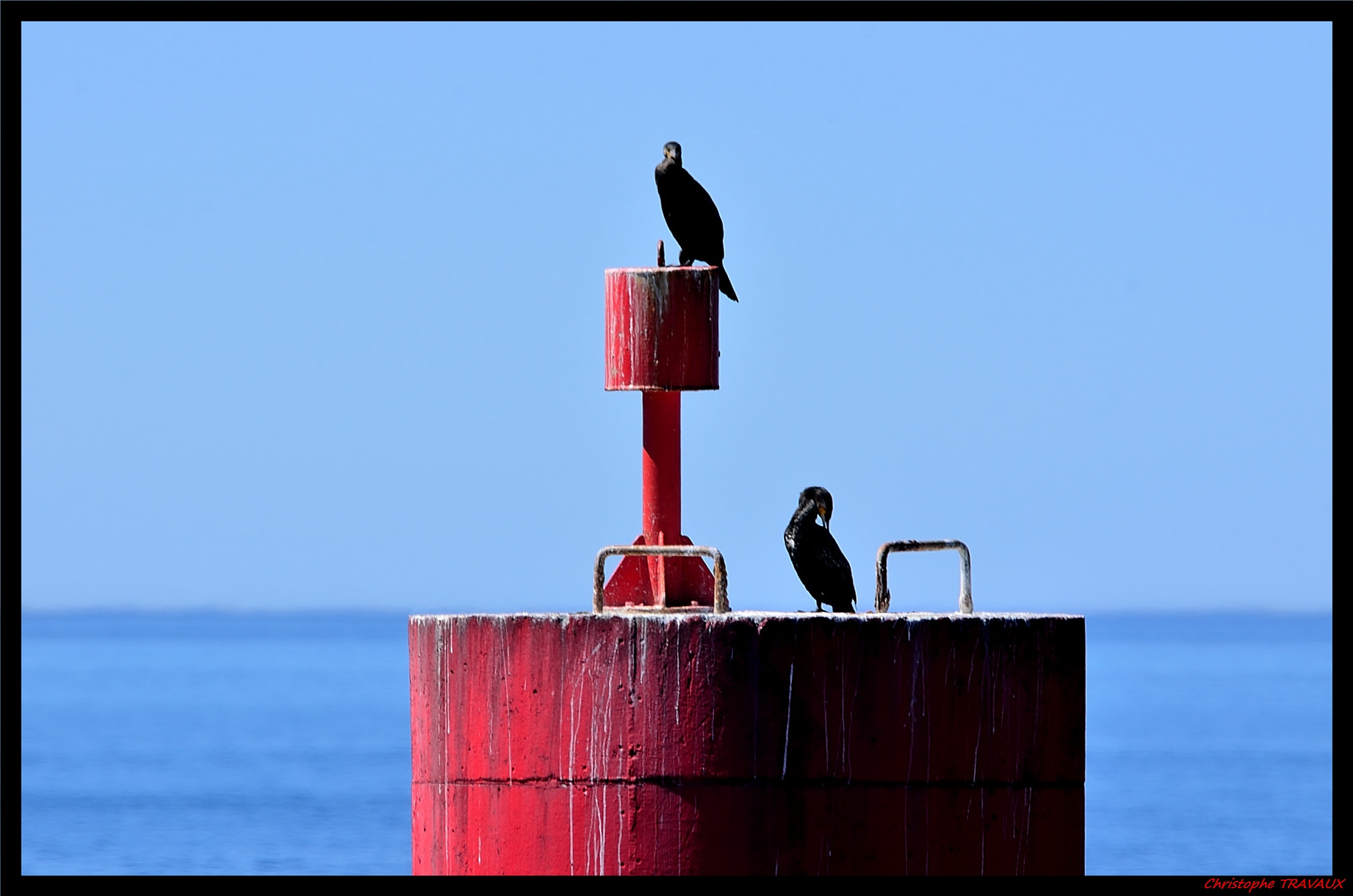 Sigma 150-600mm F5-6.3 DG OS HSM | C sample photo. Gf photography
