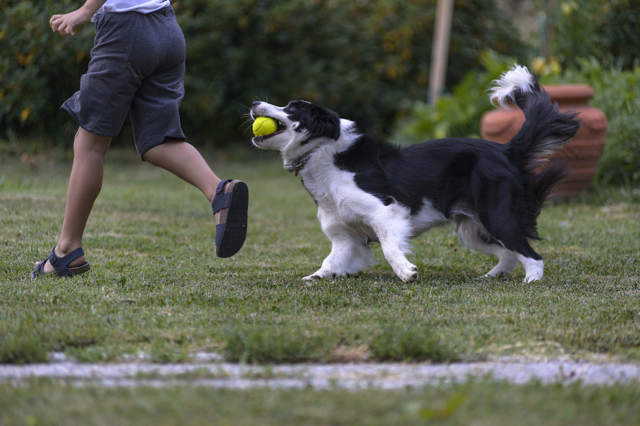 Nikon AF-Nikkor 80-200mm F2.8D ED sample photo. Francy2 photography