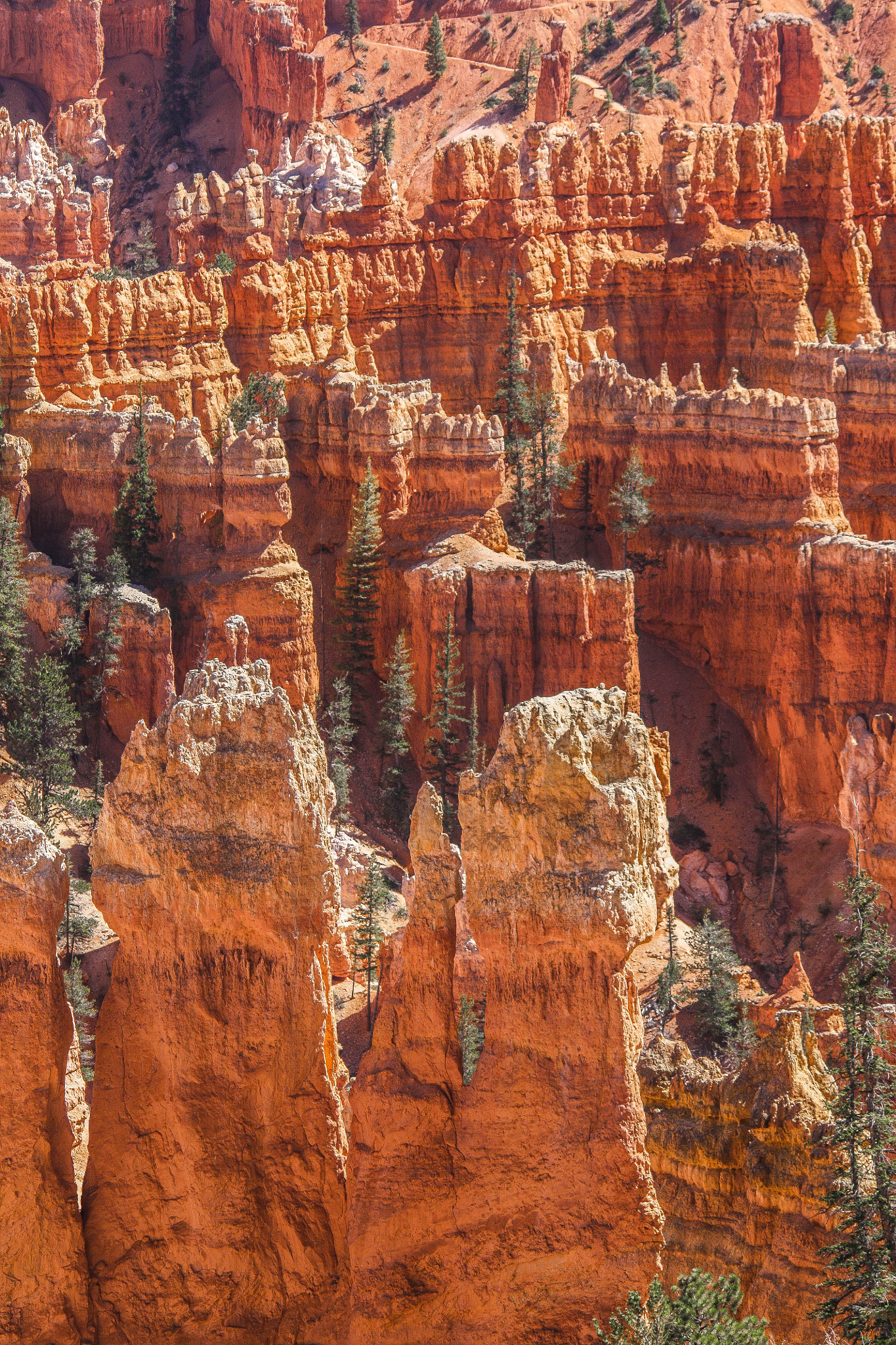Sigma 150-500mm F5-6.3 DG OS HSM sample photo. Castles in the sand(stone) photography