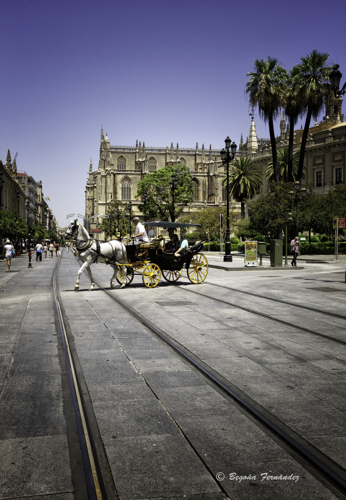 Canon EF-S 10-22mm F3.5-4.5 USM sample photo. Sevilla photography