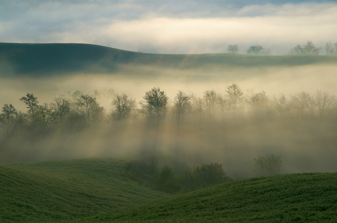 Pentax K-30 sample photo. Shadows photography