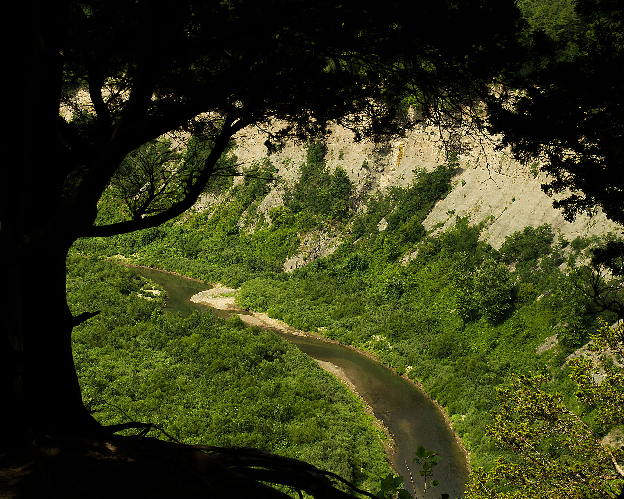 Sony SLT-A57 sample photo. Secret river photography