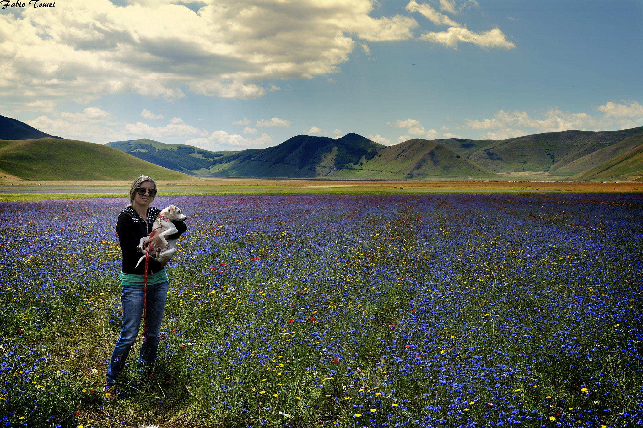 Nikon Df + Sigma 35mm F1.4 DG HSM Art sample photo. Castelluccio di norcia photography