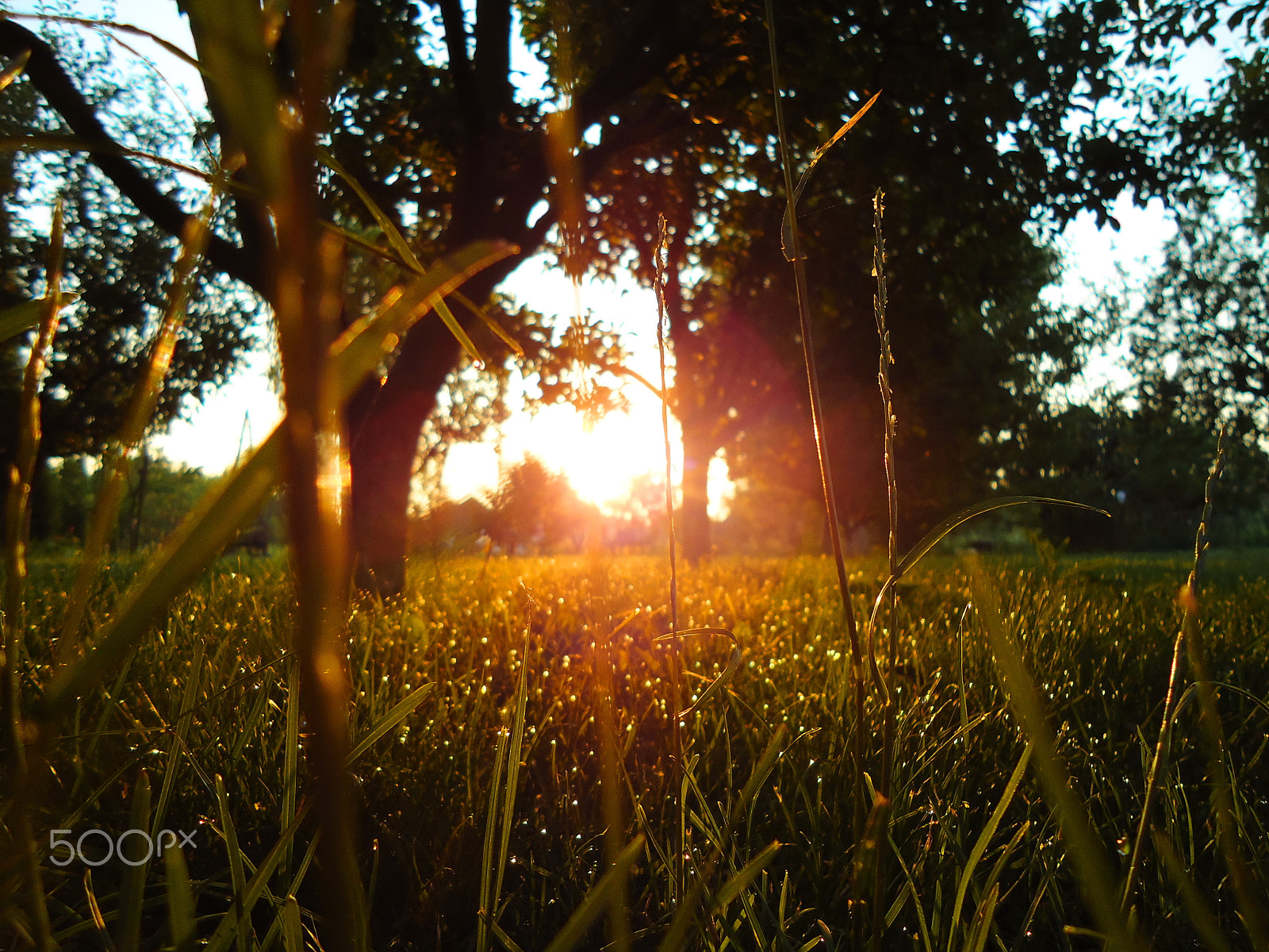 Sony Cyber-shot DSC-W330 sample photo. 2. golden hour - sunrise photography