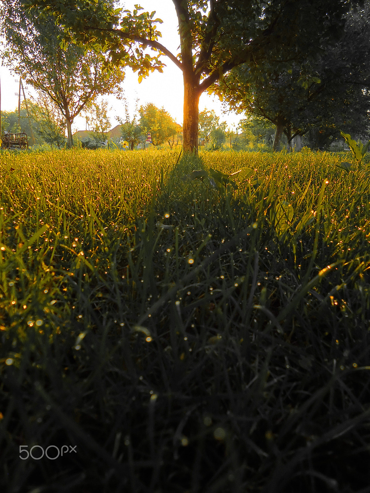 Sony Cyber-shot DSC-W330 sample photo. 3. golden hour - shadow photography