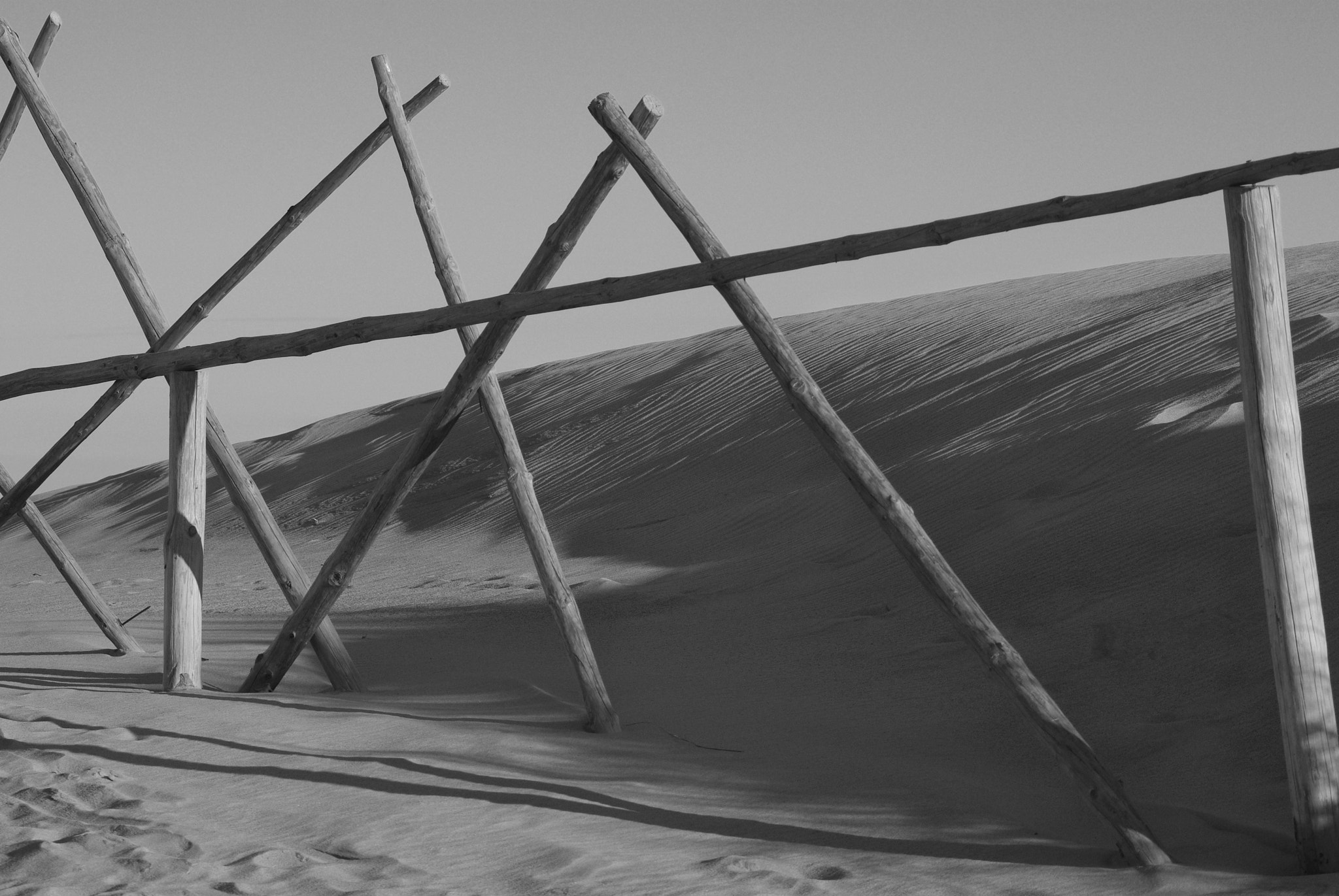 Pentax K200D sample photo. Dead dunes, neringa, lithuania photography