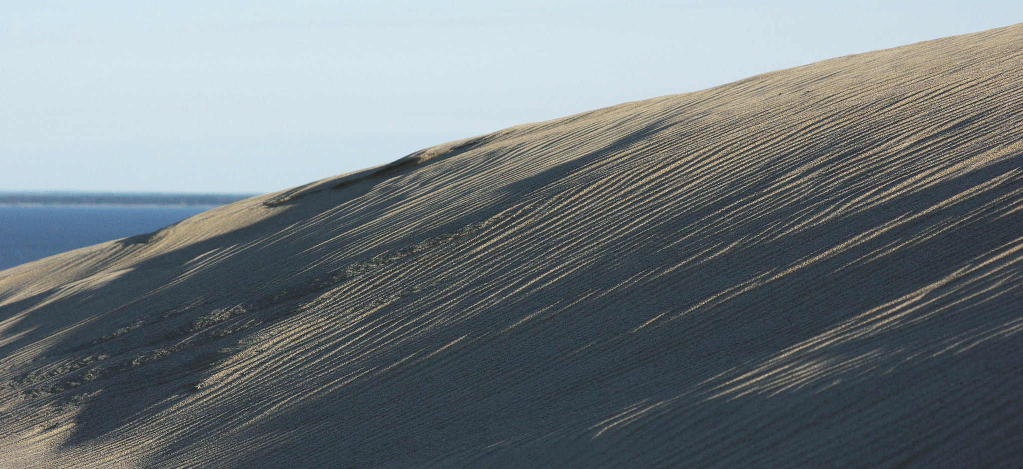 Pentax K200D sample photo. Dead dunes, neringa, lithuania photography