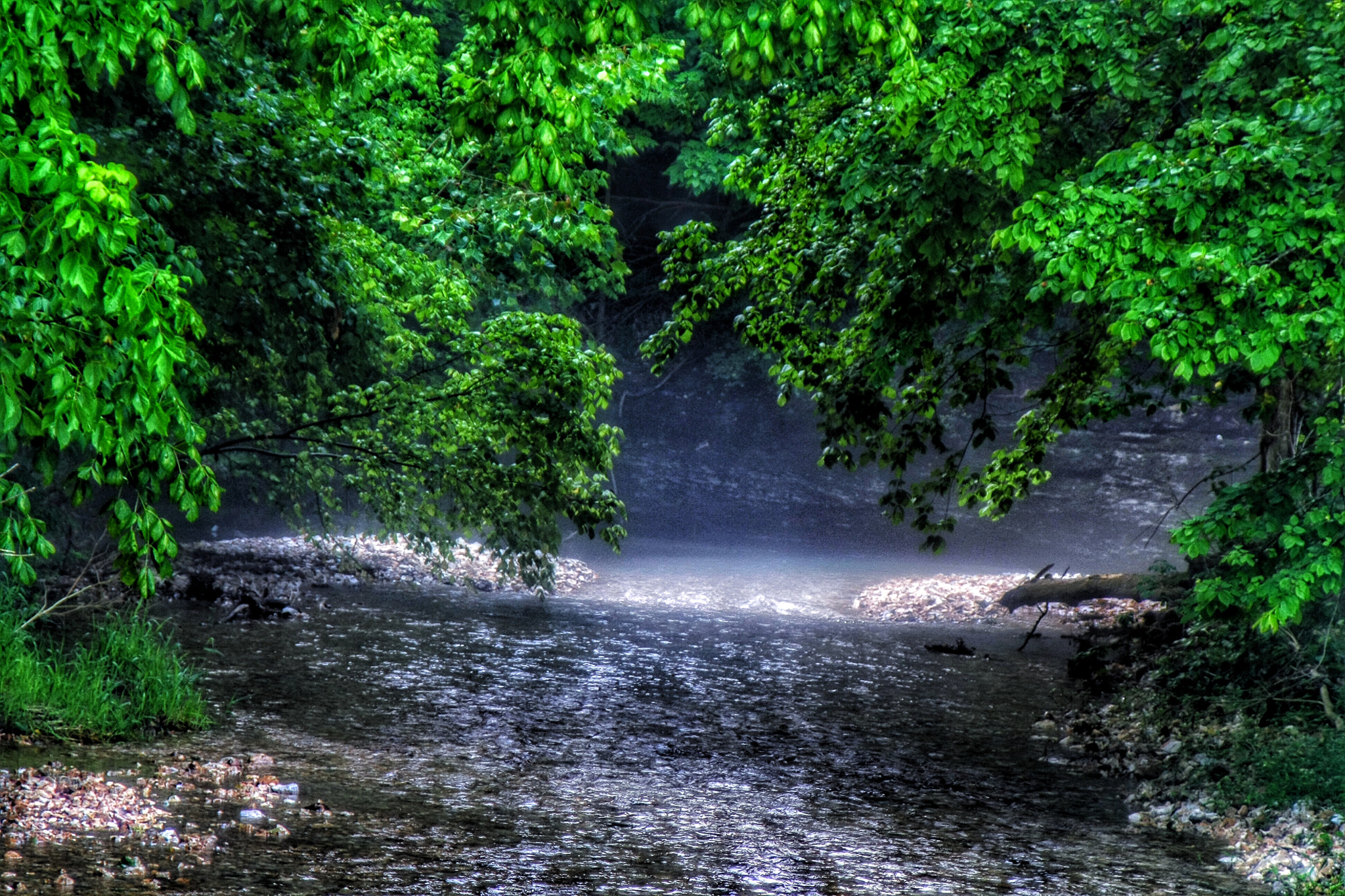 Canon 28-200mm sample photo. Morning mist on a creek bed photography