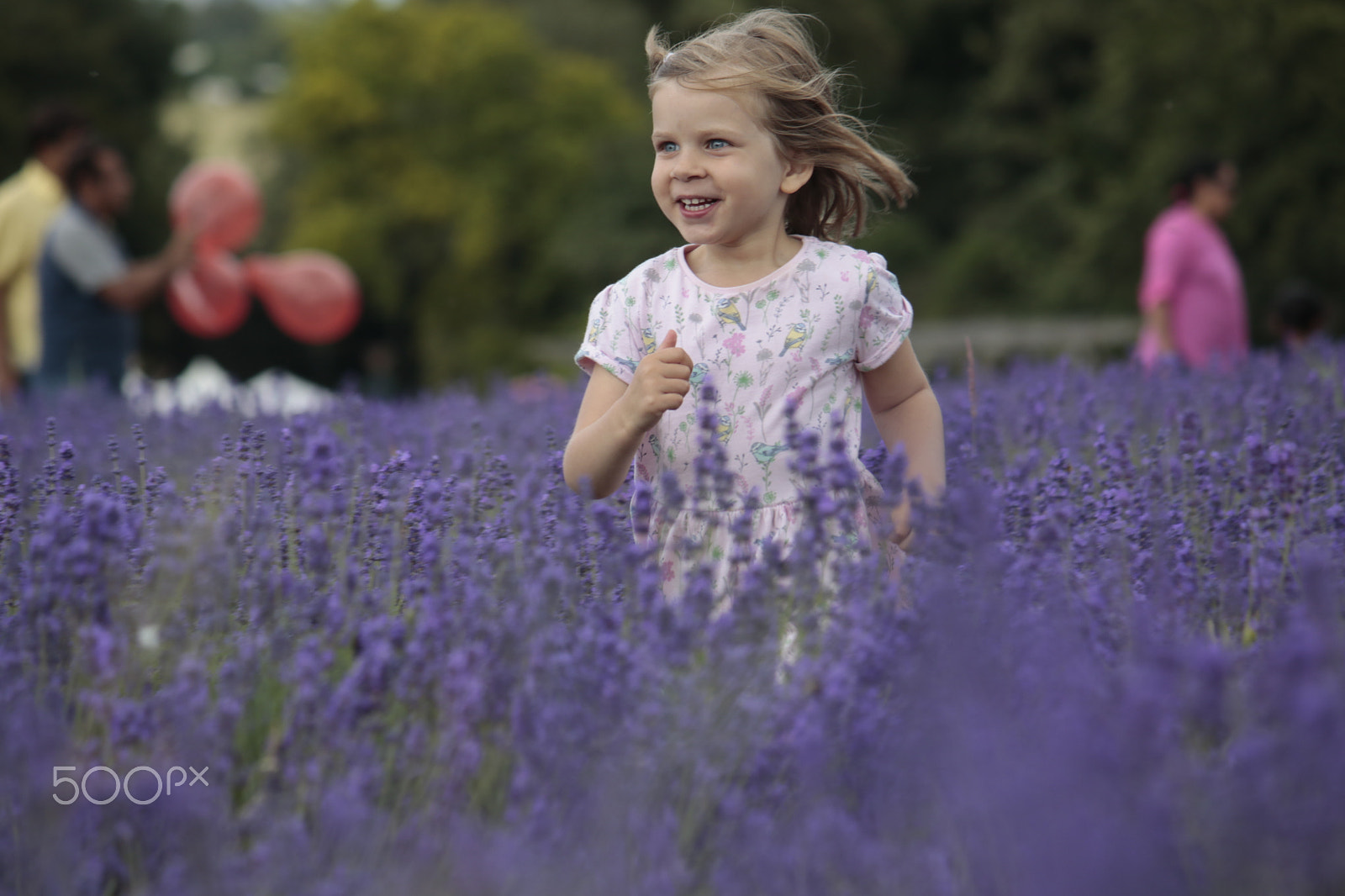 Canon EF-S 55-250mm F4-5.6 IS sample photo. My girl running in the lavender fields photography