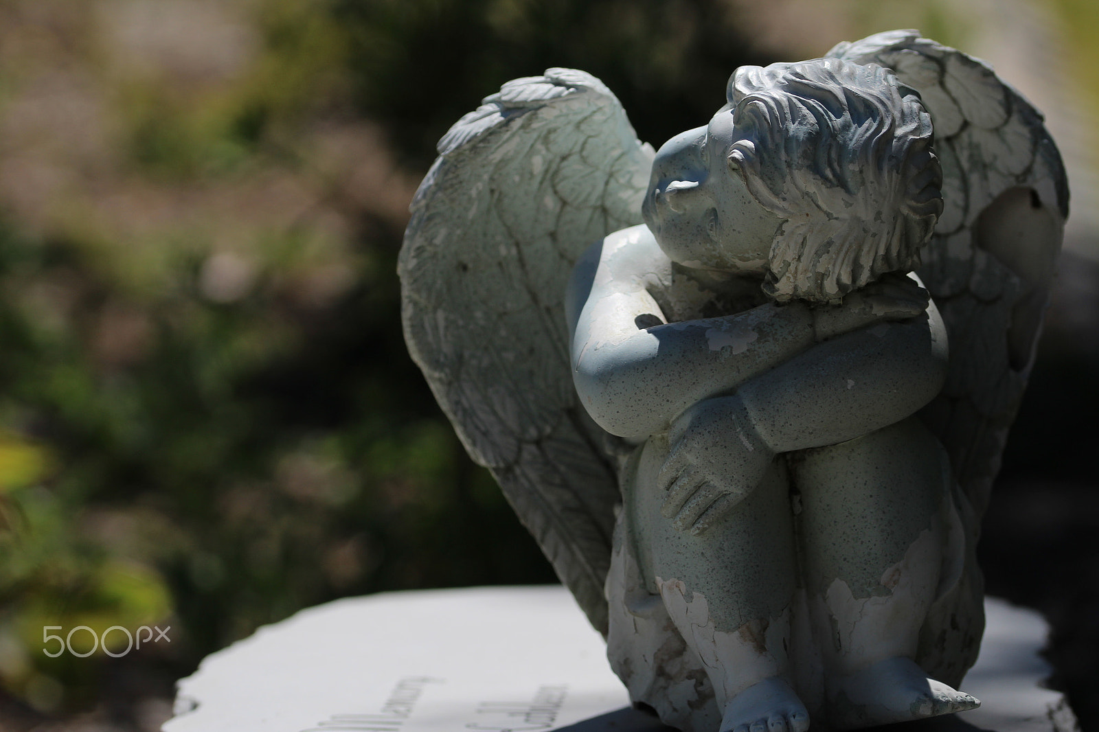 Sigma 105mm F2.8 EX DG OS HSM sample photo. A small weeping angel photography