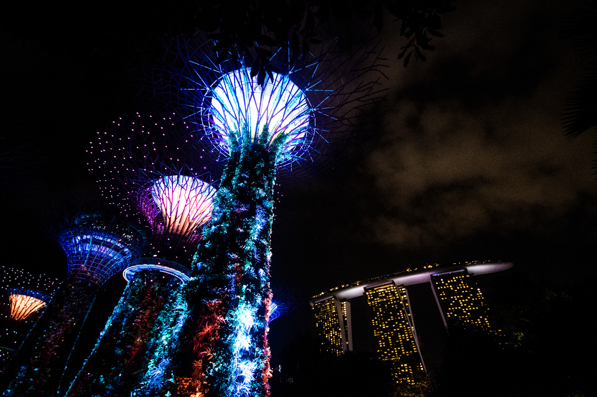 Sigma 10-20mm F4-5.6 EX DC HSM sample photo. Gardens by the bay photography