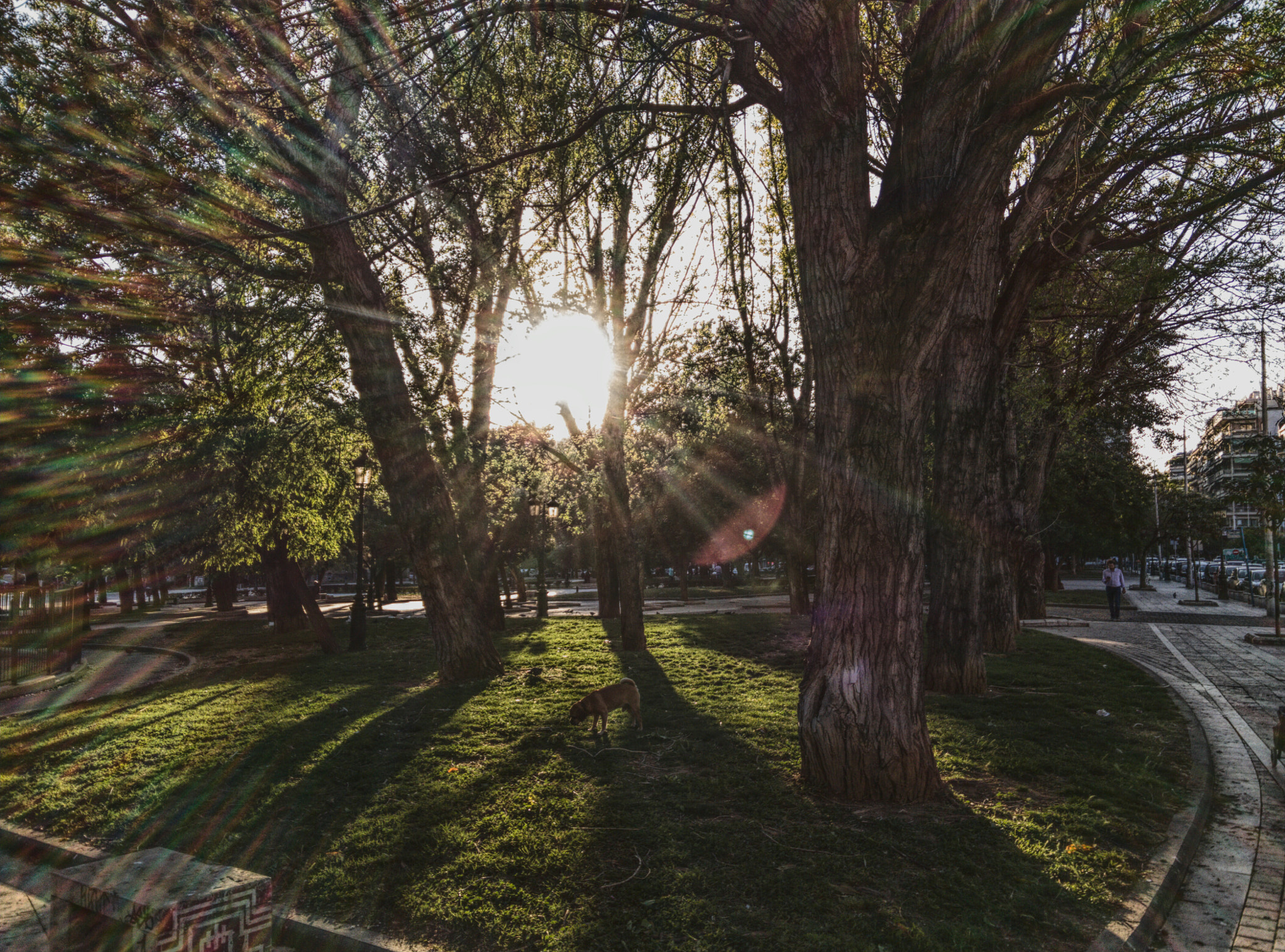 OnePlus One A0001 sample photo