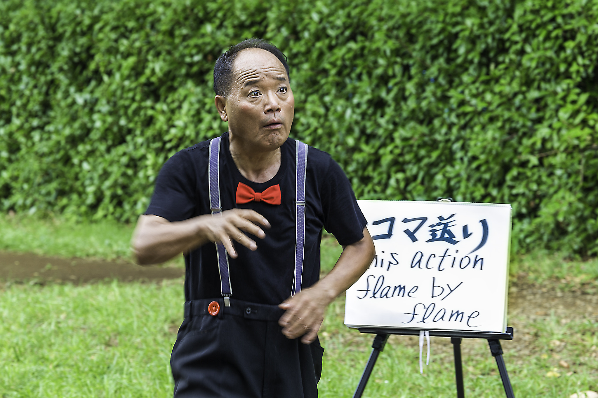 Canon EF 100-400mm F4.5-5.6L IS USM sample photo. Flame by flame photography