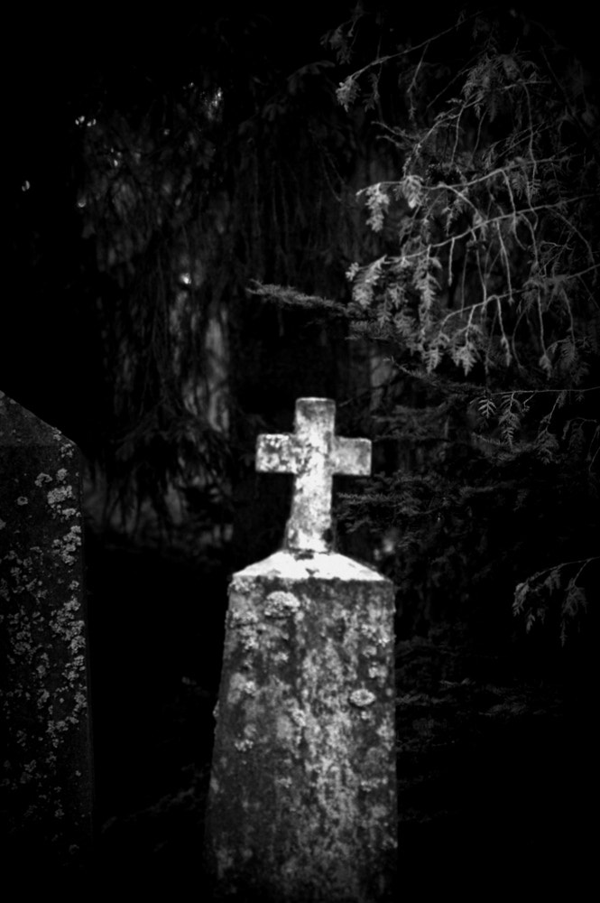 Nikon D2X sample photo. Bw cemetery photography