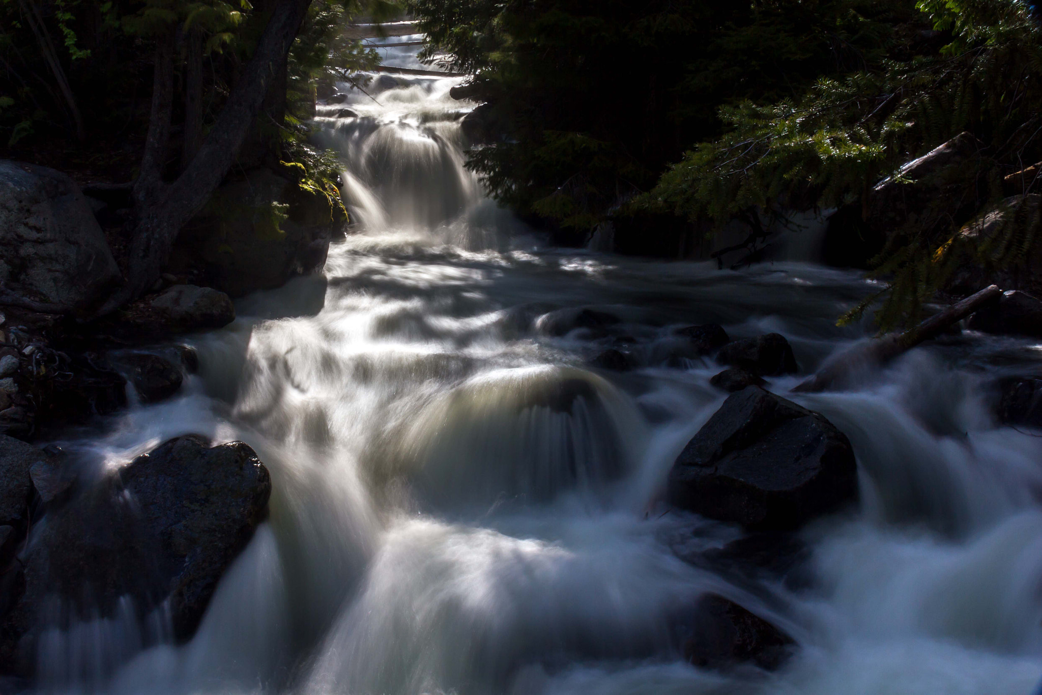 Canon EOS 550D (EOS Rebel T2i / EOS Kiss X4) sample photo. Streams in the sun photography
