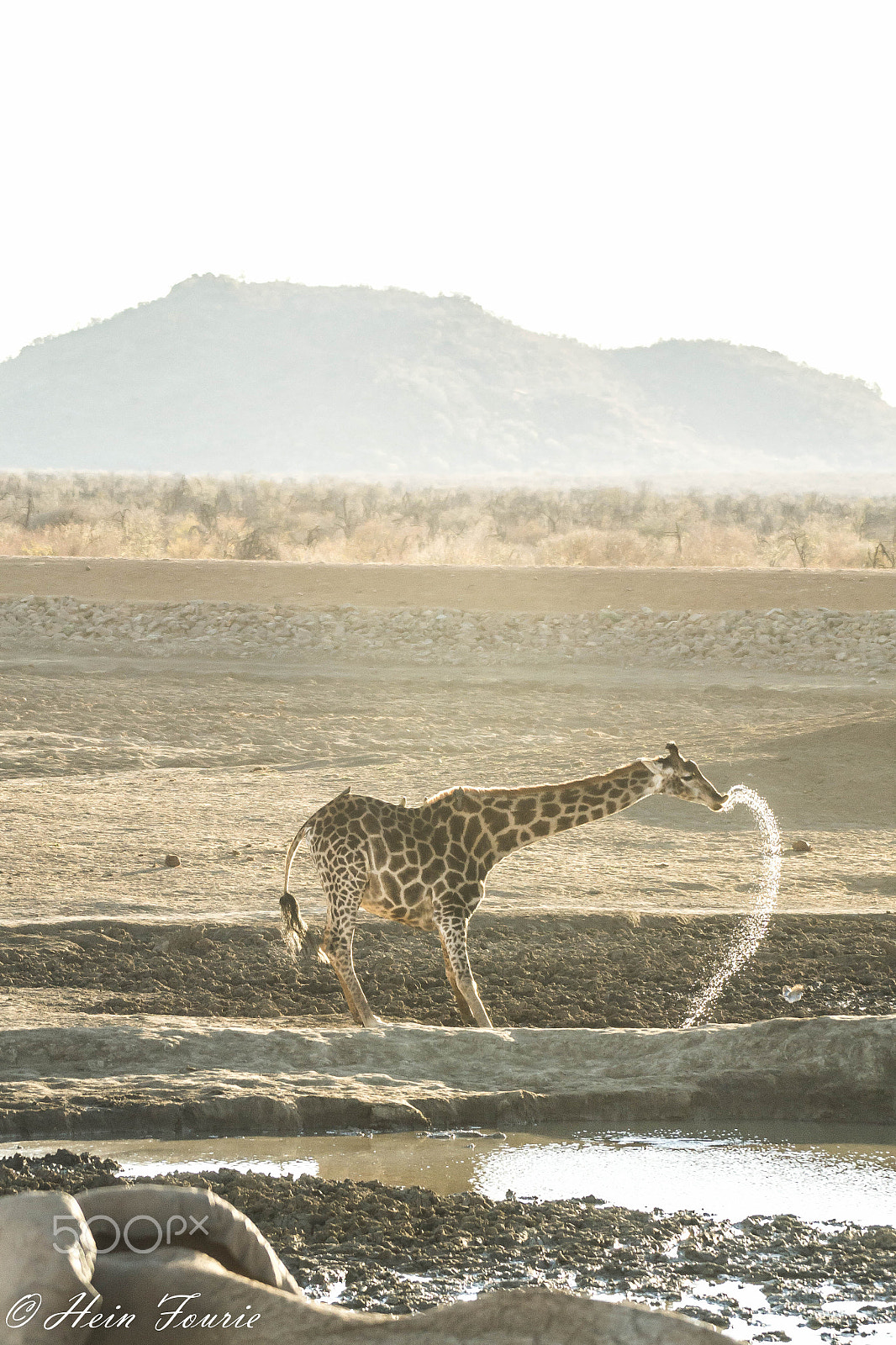 Nikon D3100 + Sigma 50-500mm F4-6.3 EX APO RF HSM sample photo. Spaying water photography