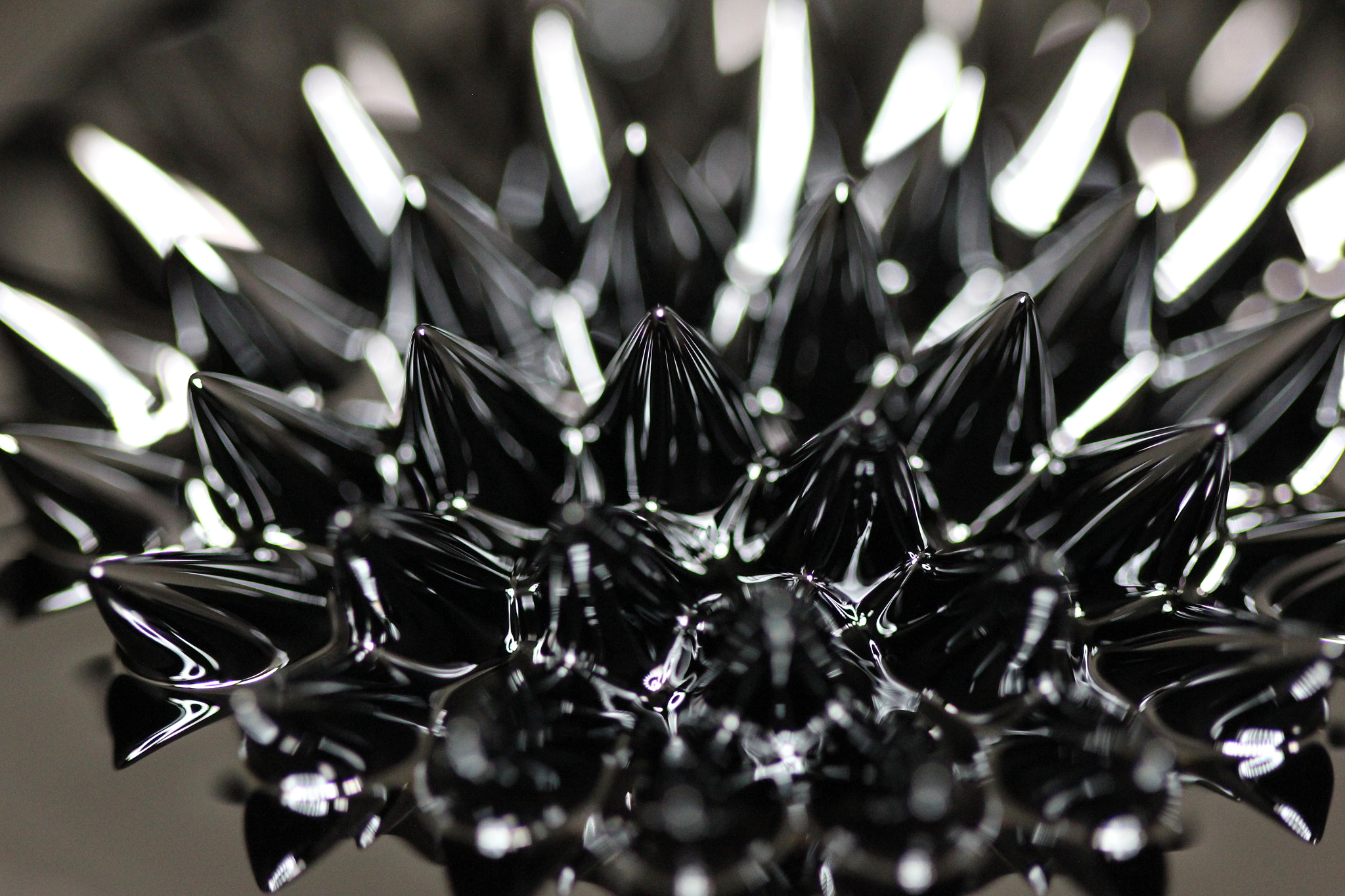 Canon EF 100mm F2.8 Macro USM sample photo. Spikes photography
